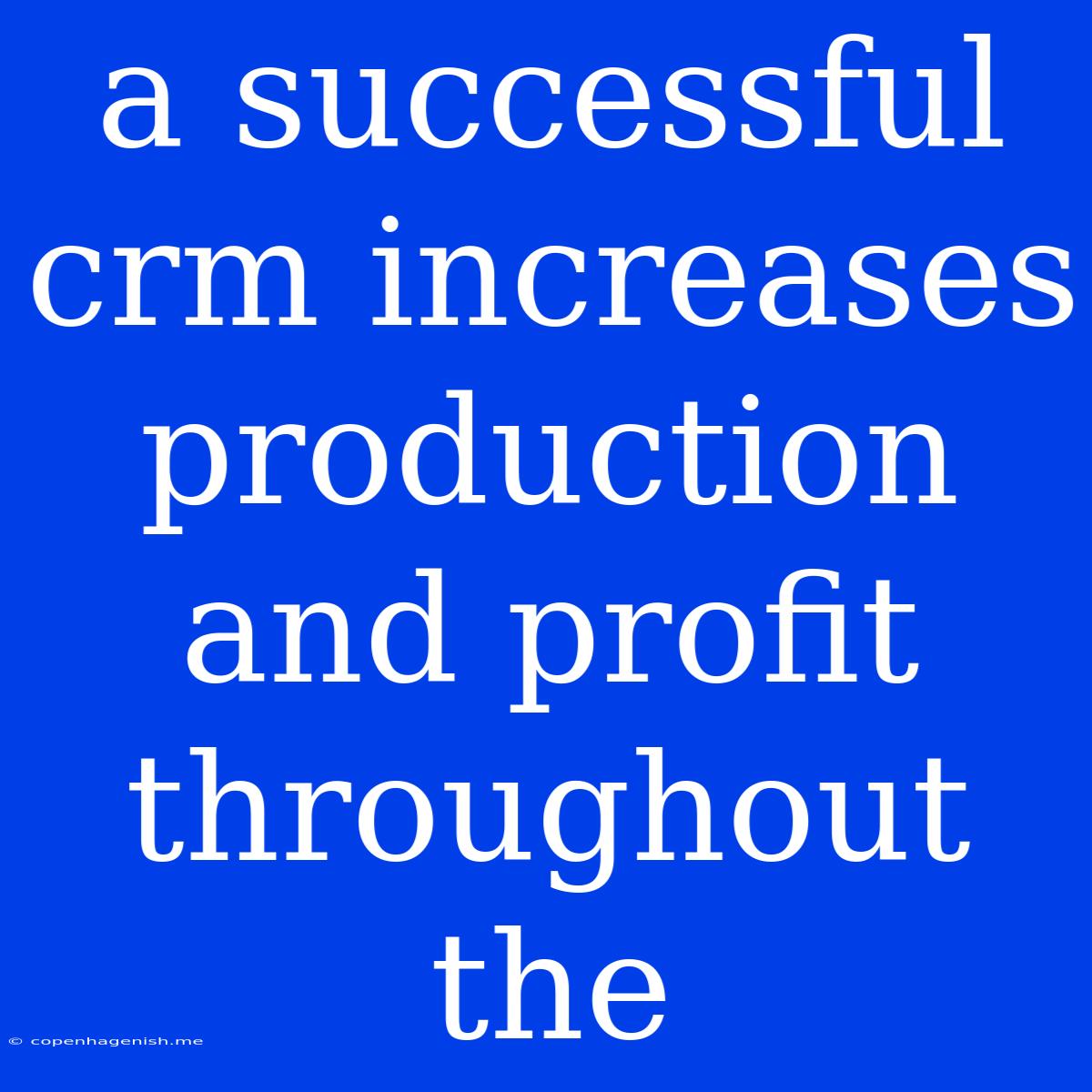 A Successful Crm Increases Production And Profit Throughout The