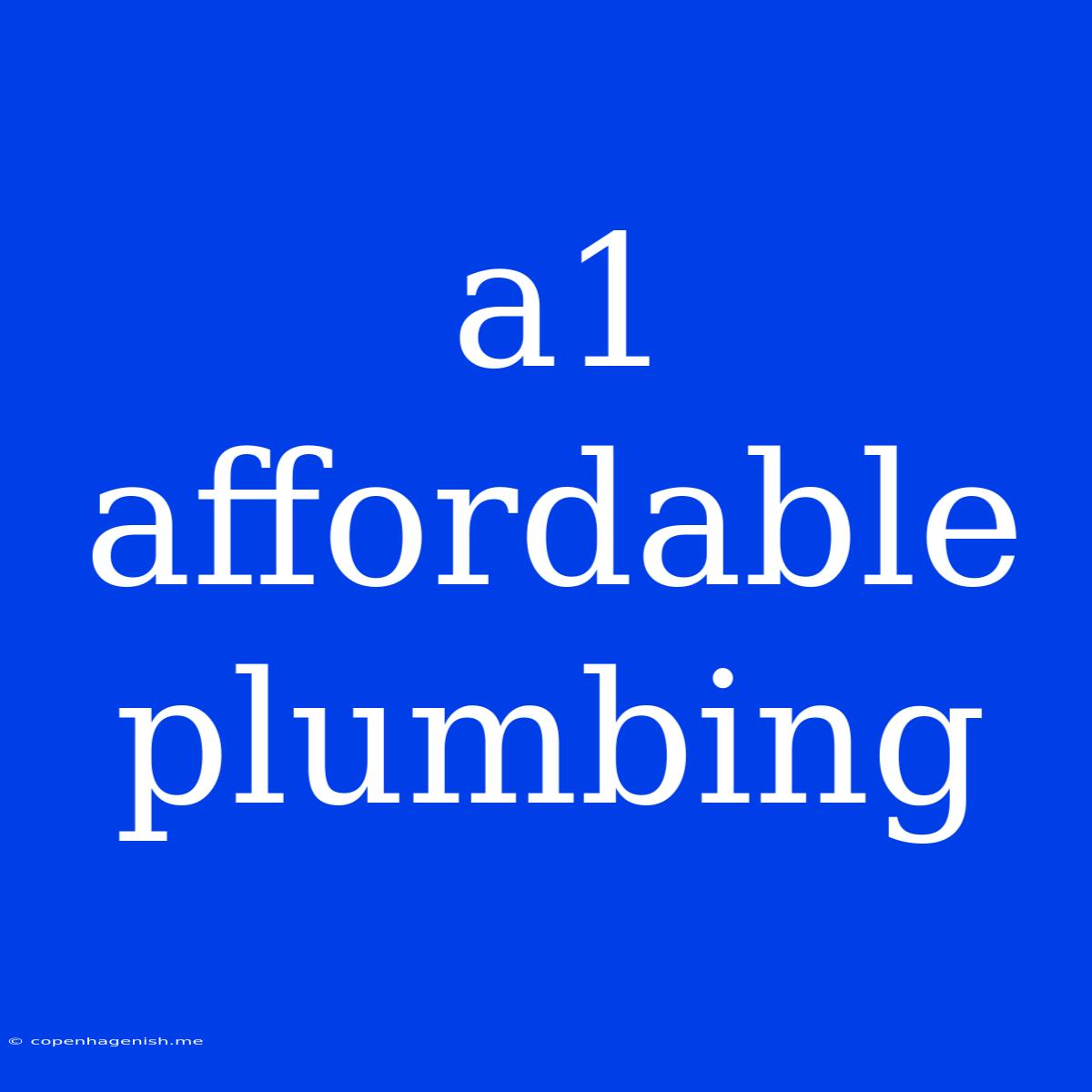 A1 Affordable Plumbing