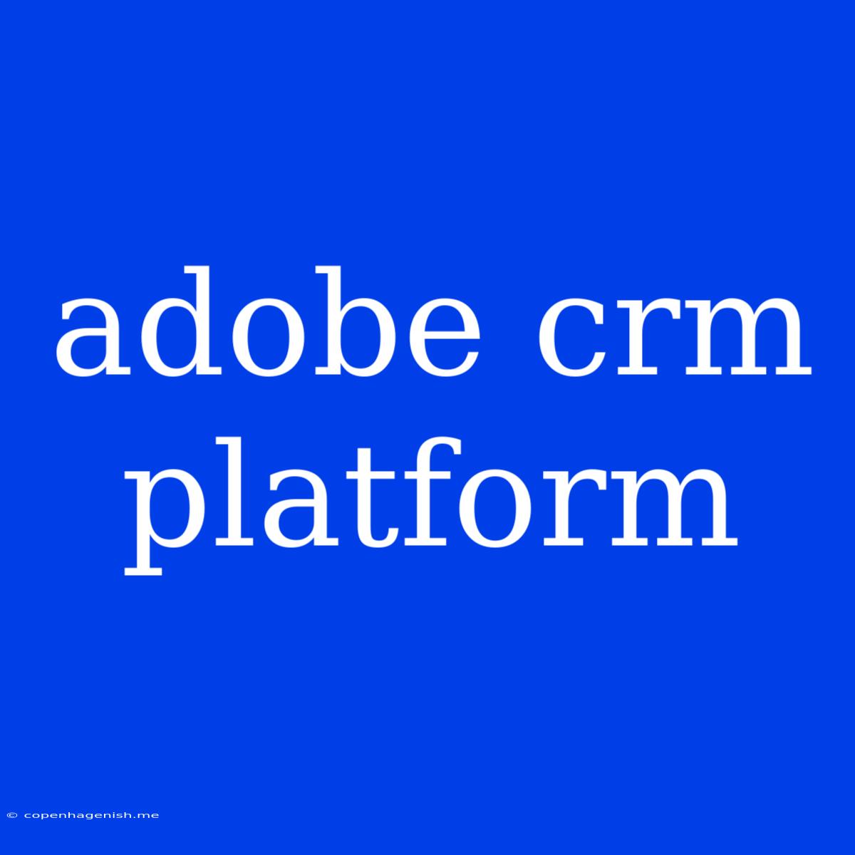 Adobe Crm Platform