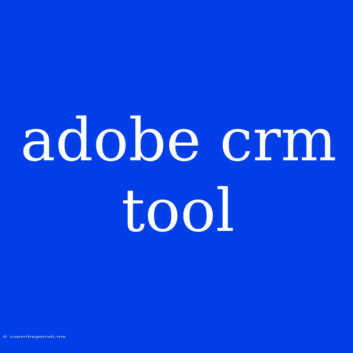 Adobe Crm Tool