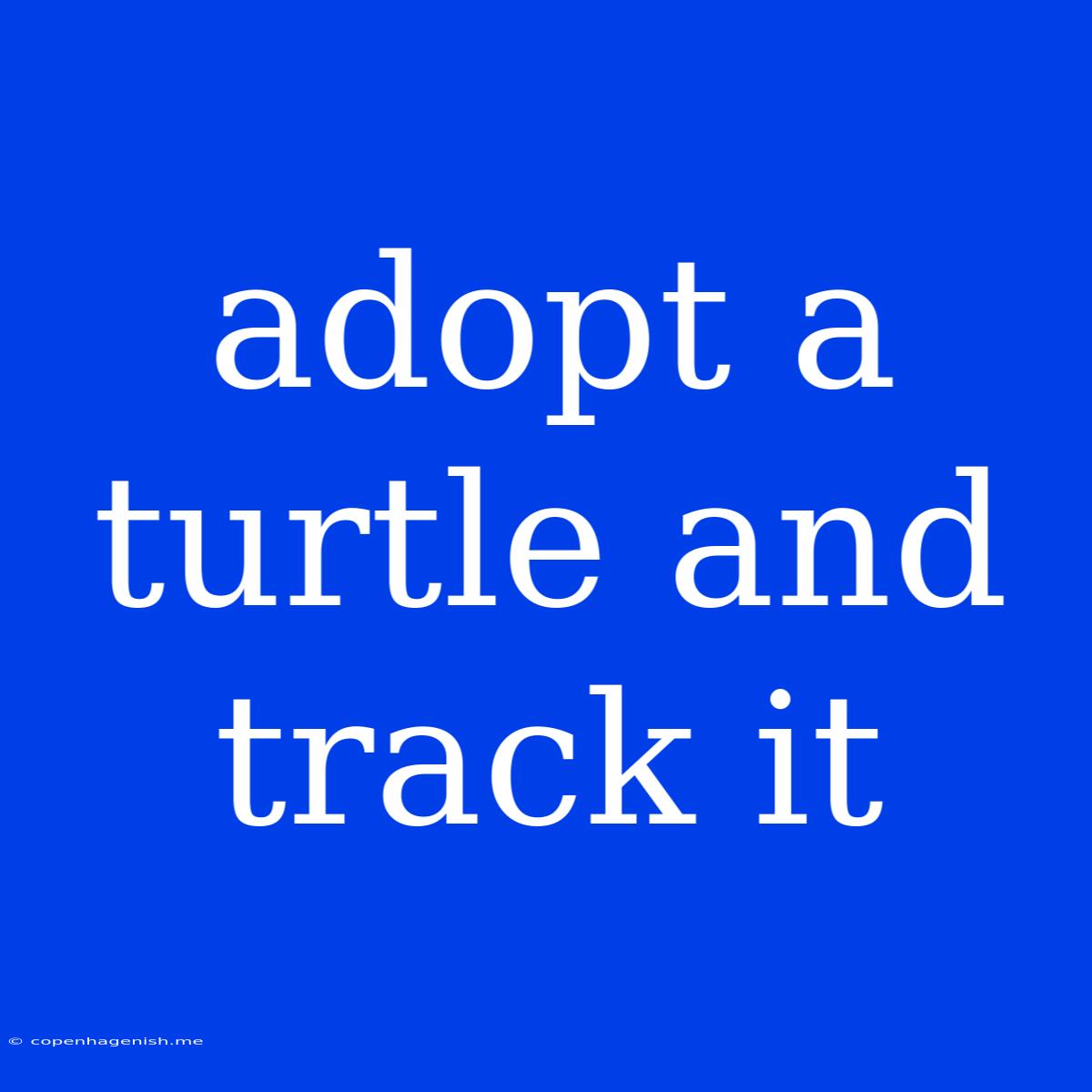 Adopt A Turtle And Track It