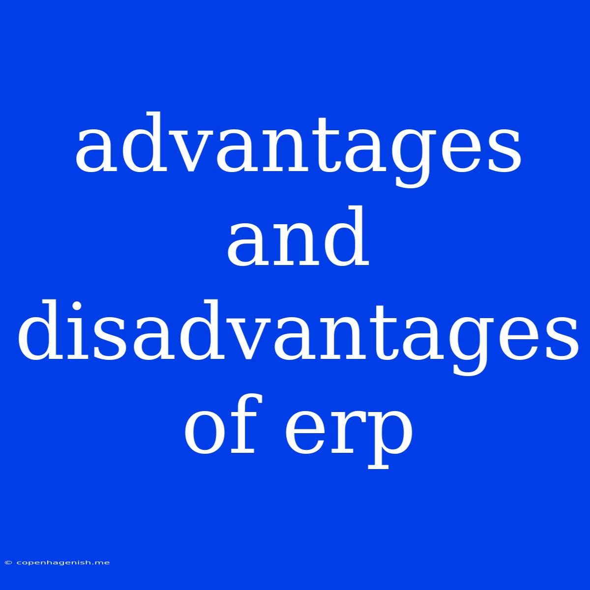 Advantages And Disadvantages Of Erp