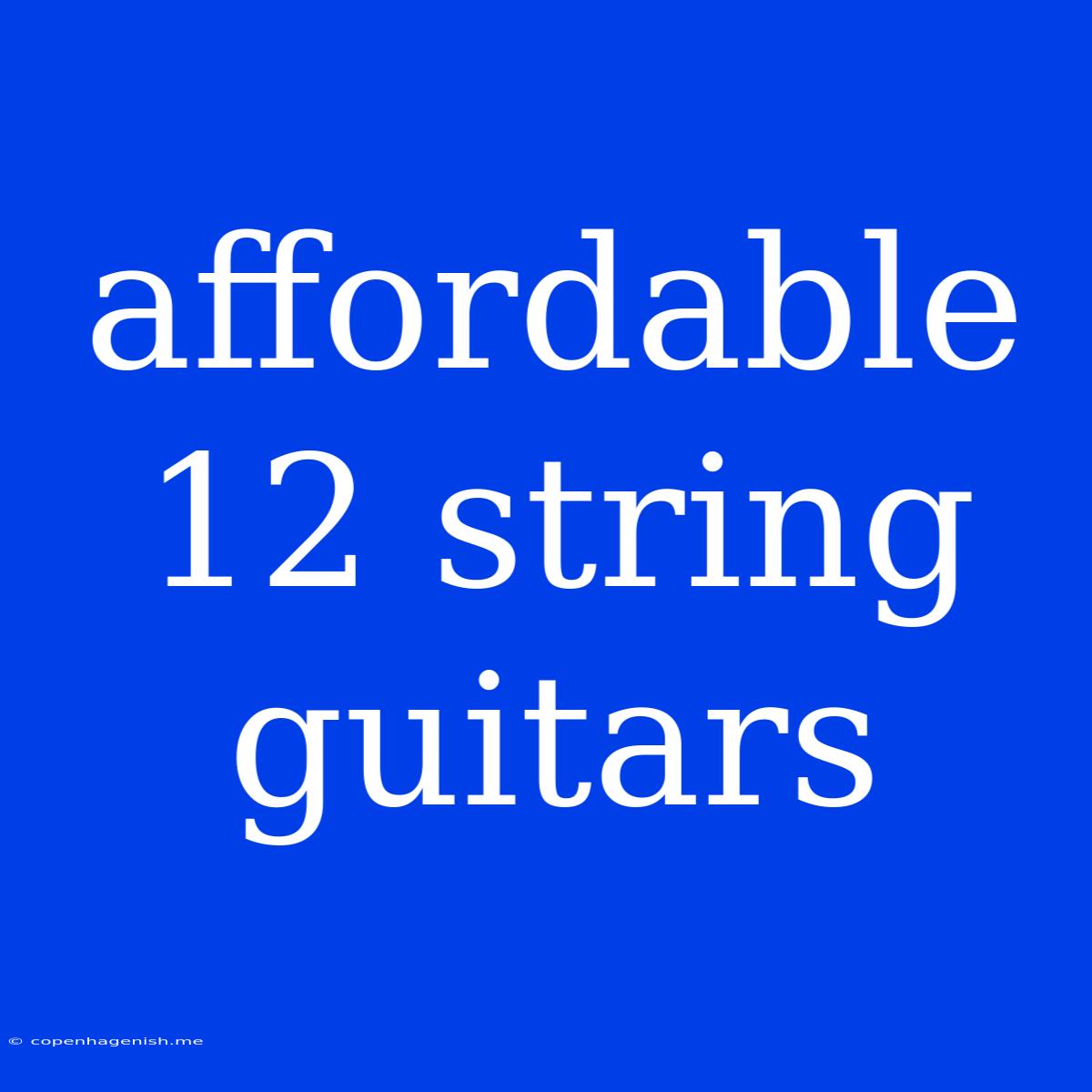 Affordable 12 String Guitars