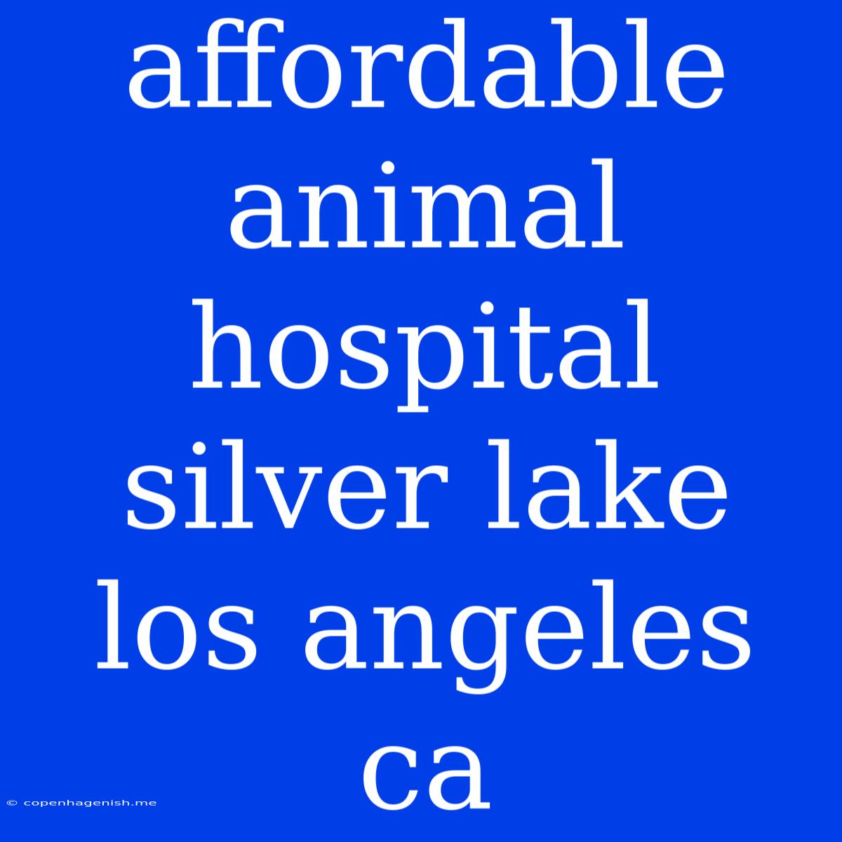 Affordable Animal Hospital Silver Lake Los Angeles Ca