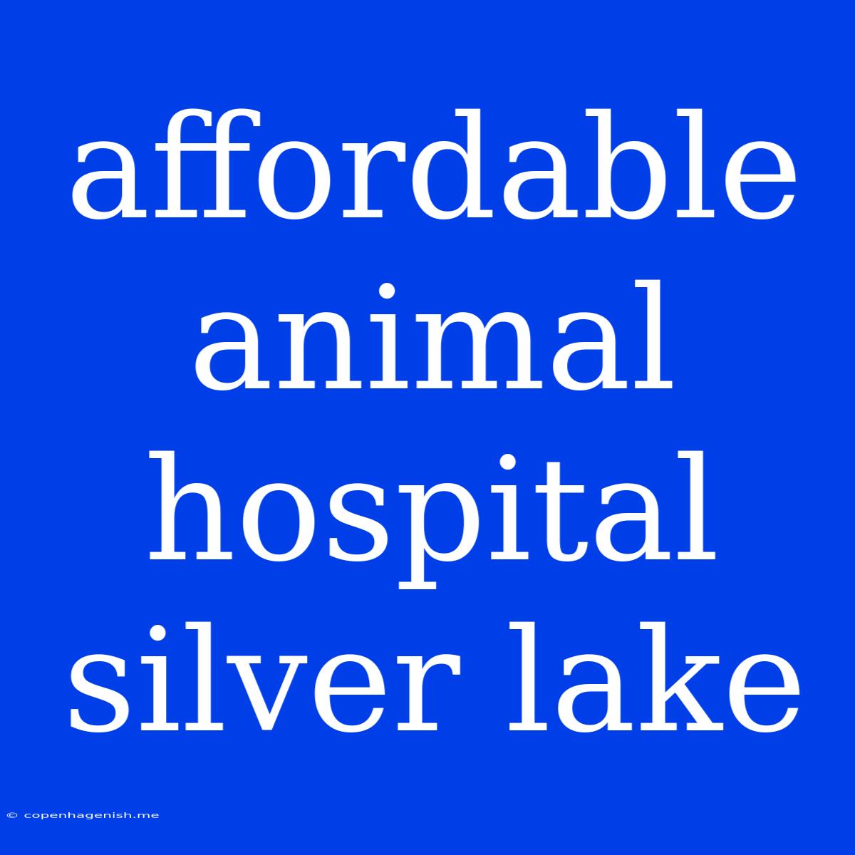 Affordable Animal Hospital Silver Lake