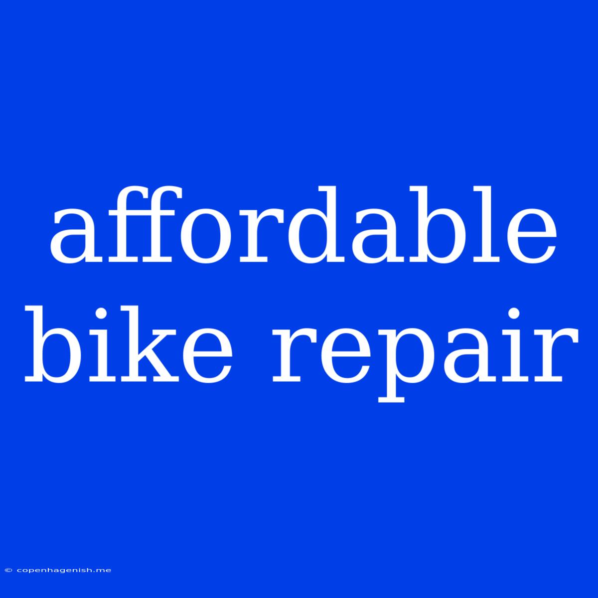 Affordable Bike Repair