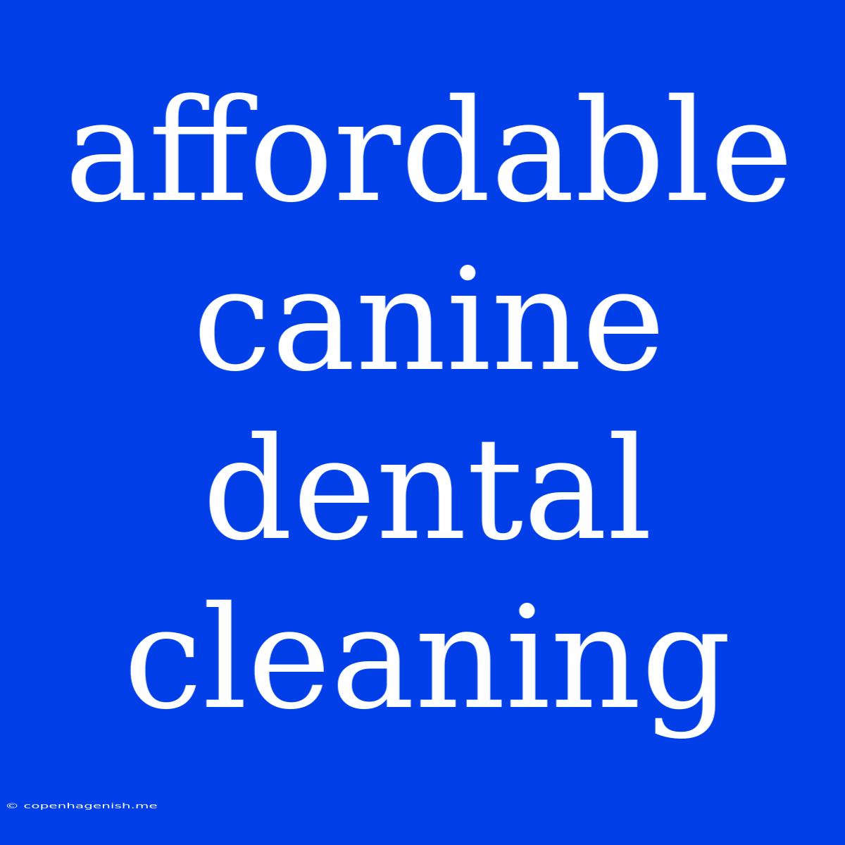 Affordable Canine Dental Cleaning