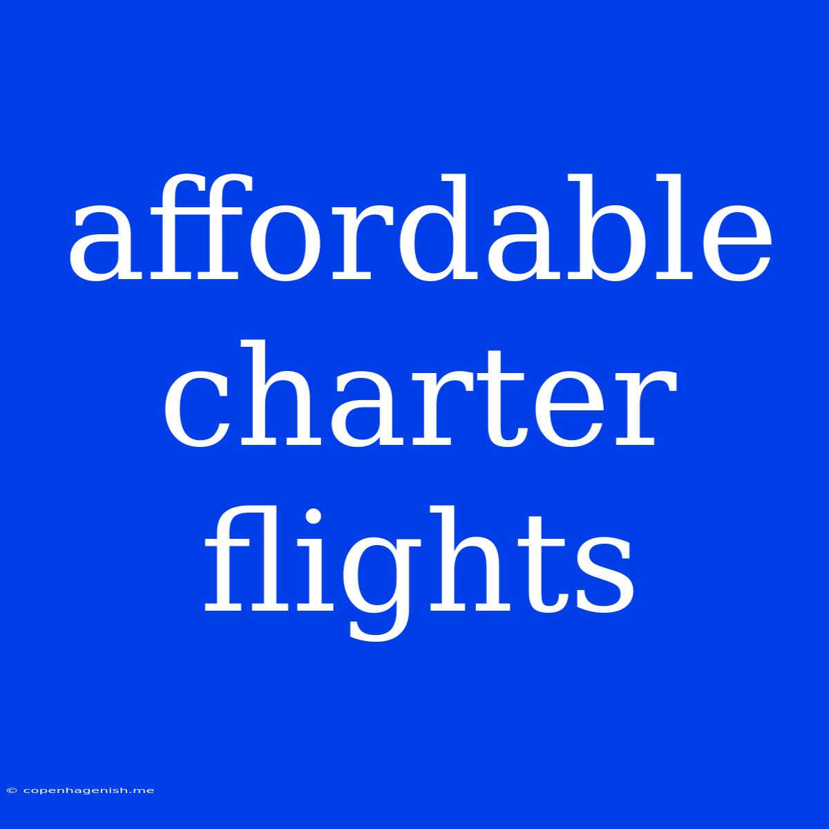 Affordable Charter Flights