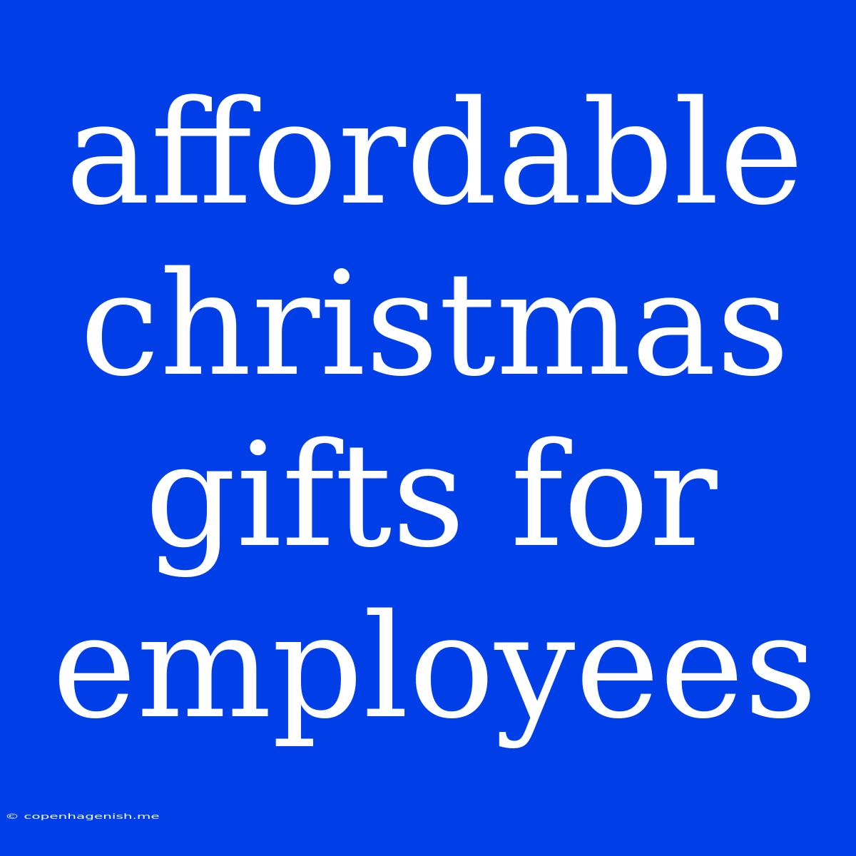 Affordable Christmas Gifts For Employees