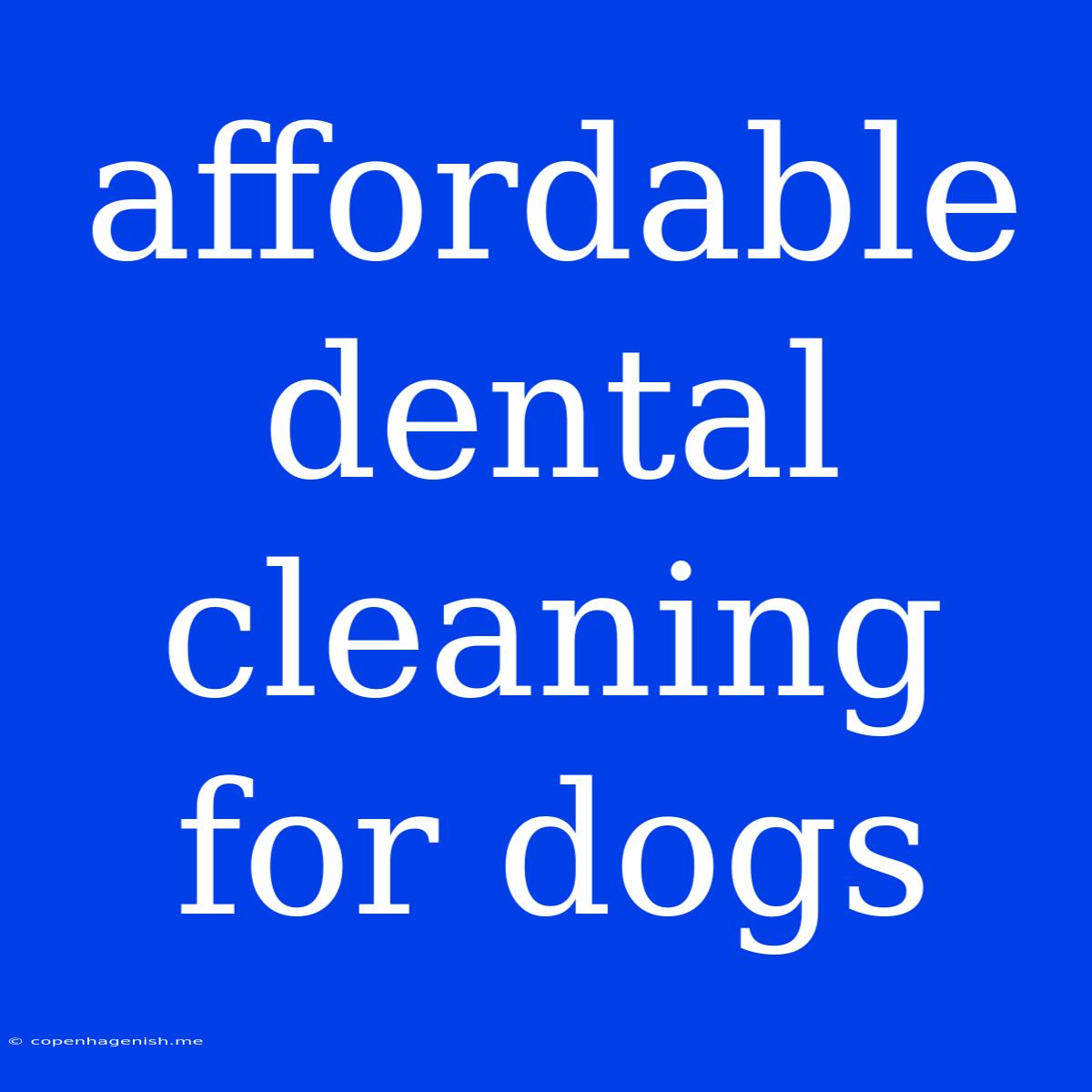 Affordable Dental Cleaning For Dogs