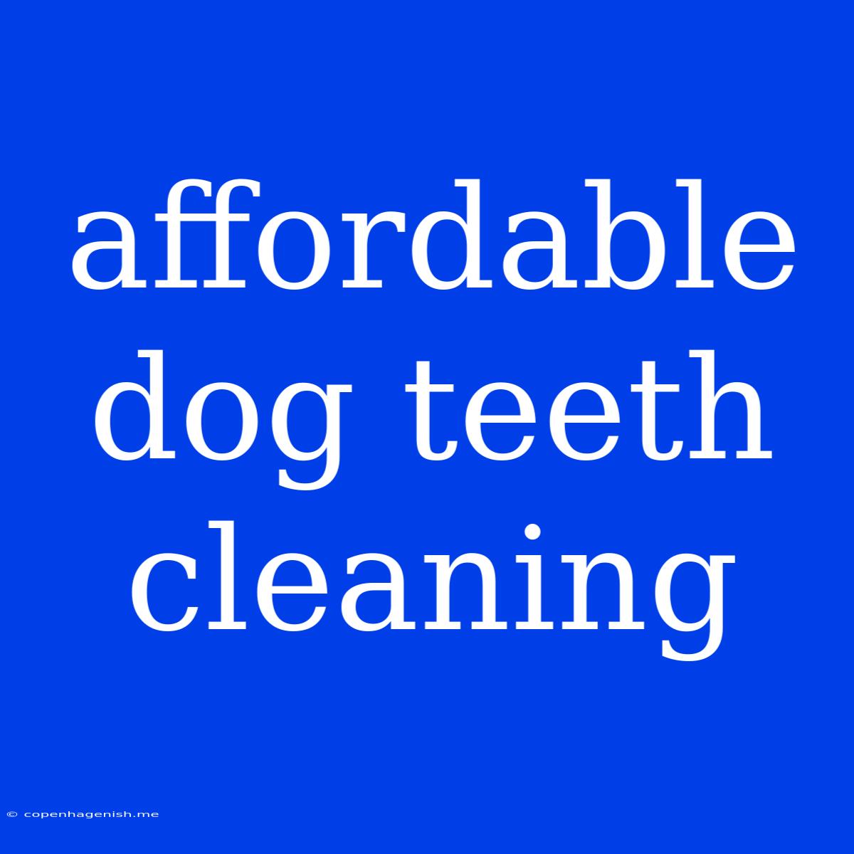 Affordable Dog Teeth Cleaning