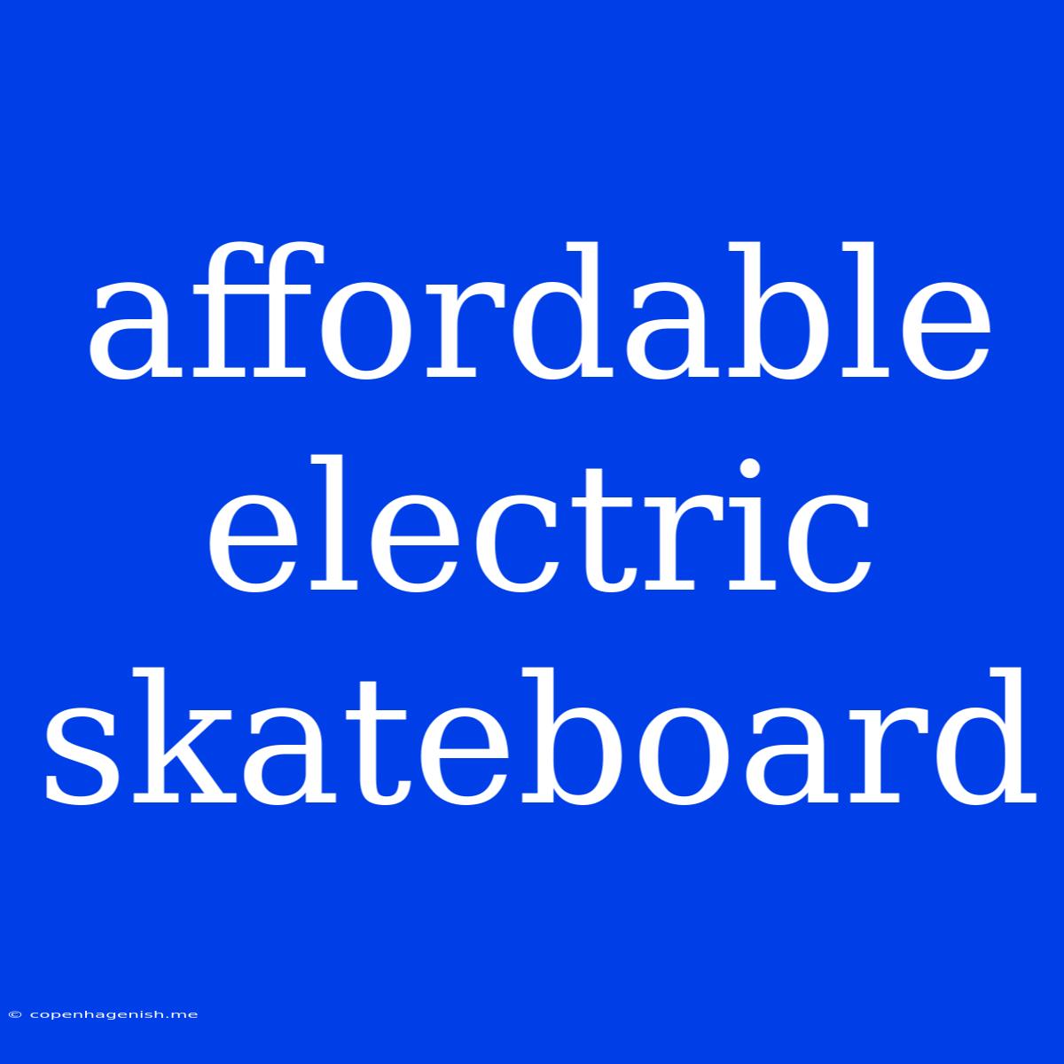 Affordable Electric Skateboard