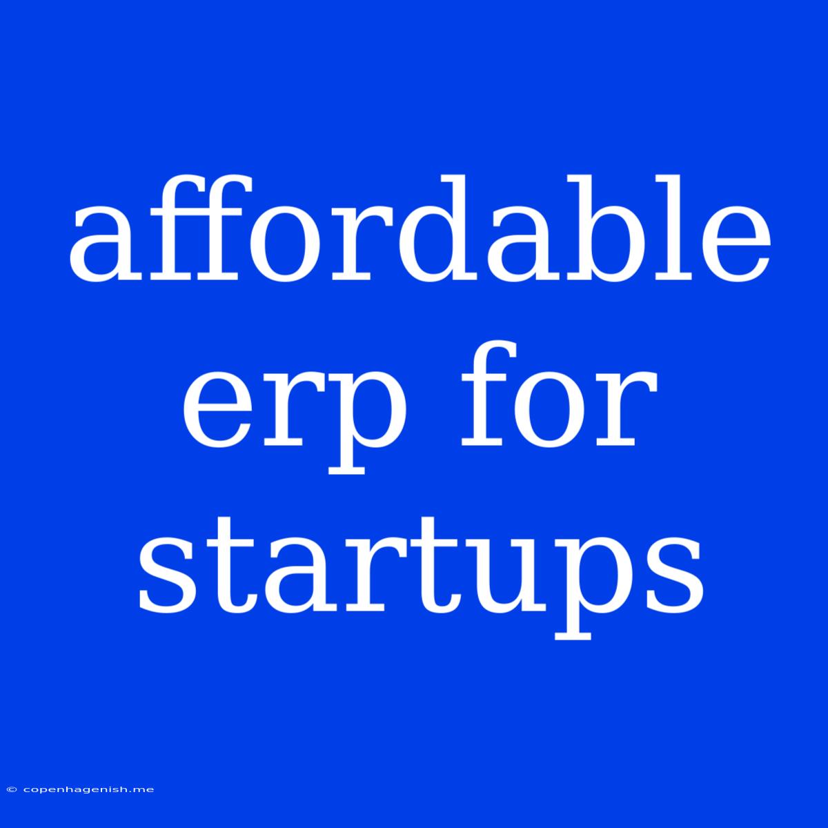 Affordable Erp For Startups