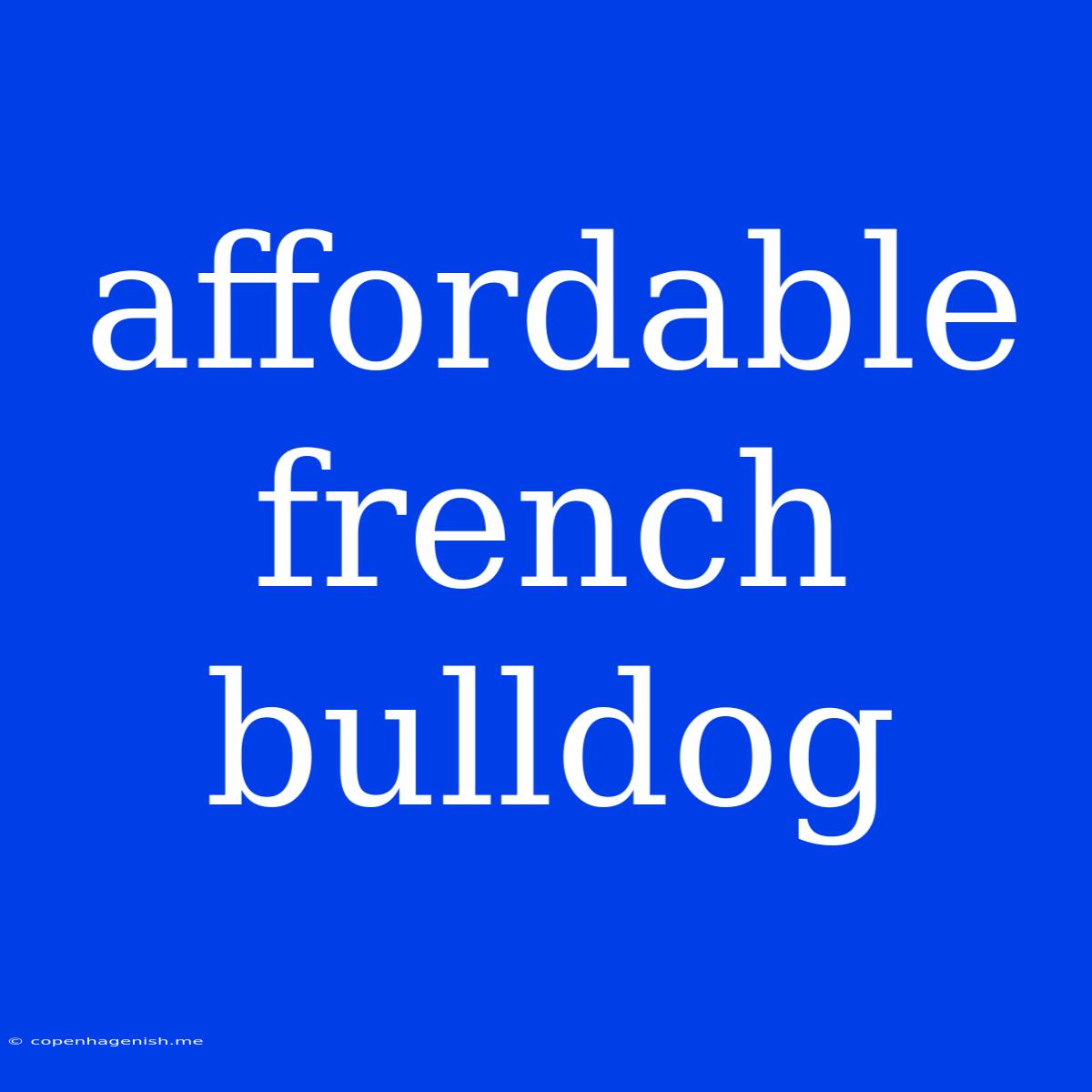 Affordable French Bulldog