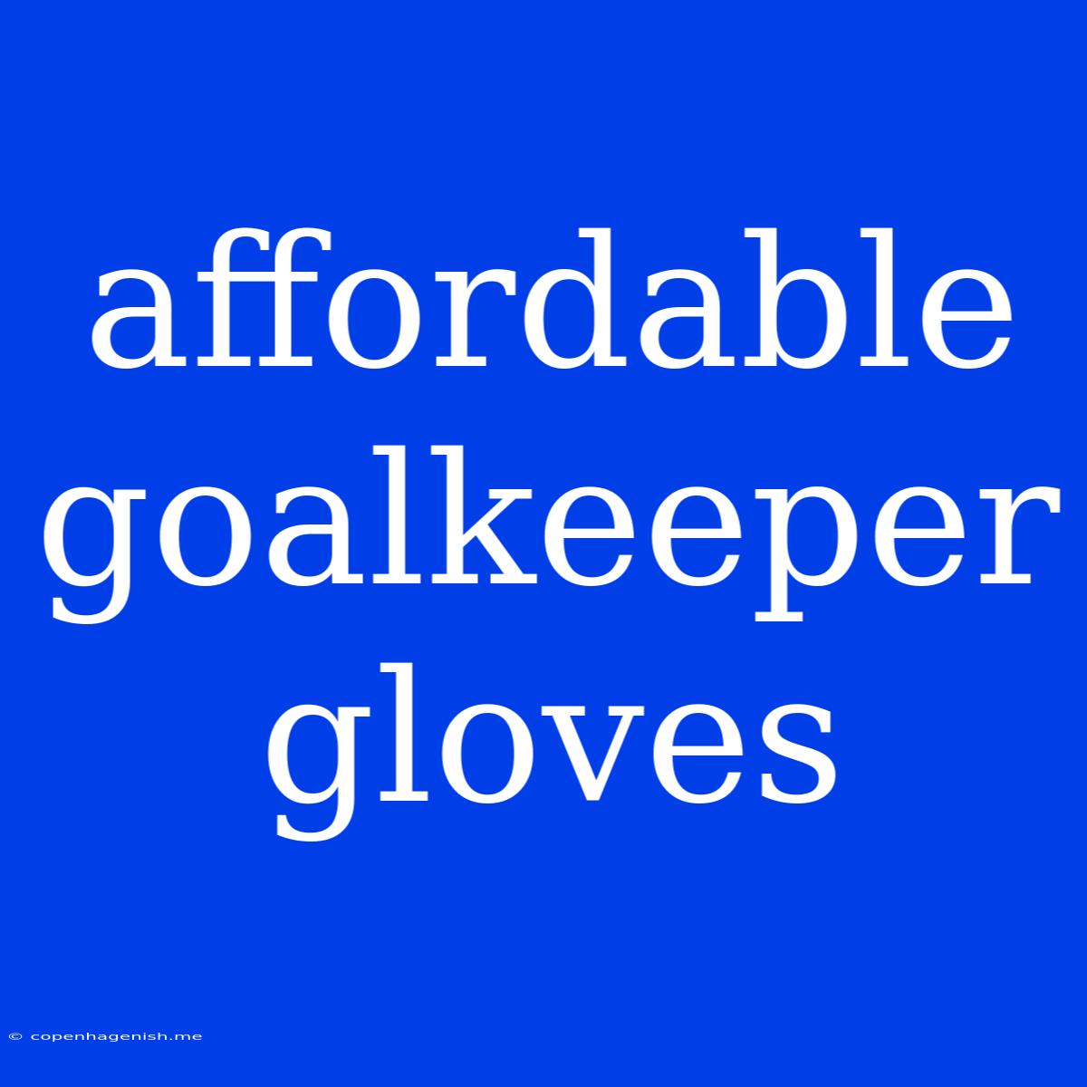 Affordable Goalkeeper Gloves