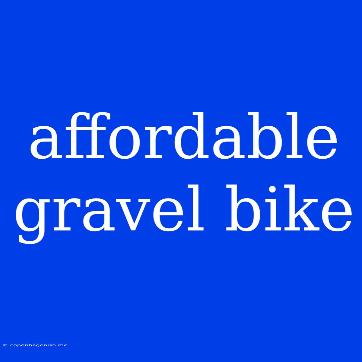 Affordable Gravel Bike