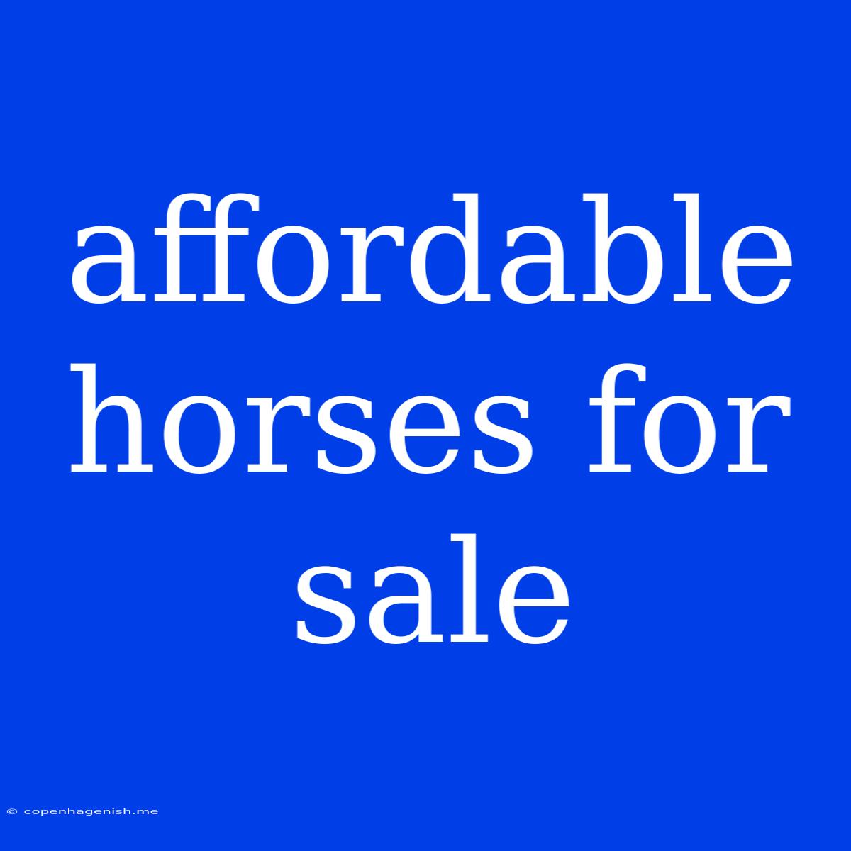 Affordable Horses For Sale