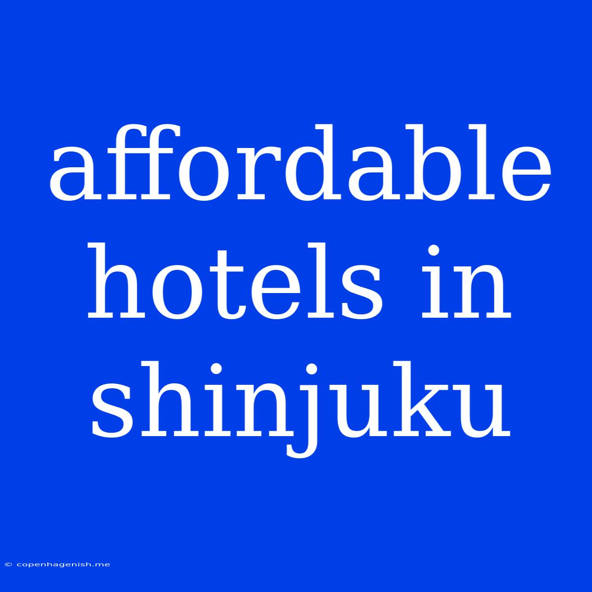 Affordable Hotels In Shinjuku