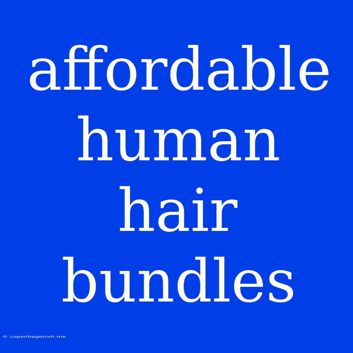 Affordable Human Hair Bundles