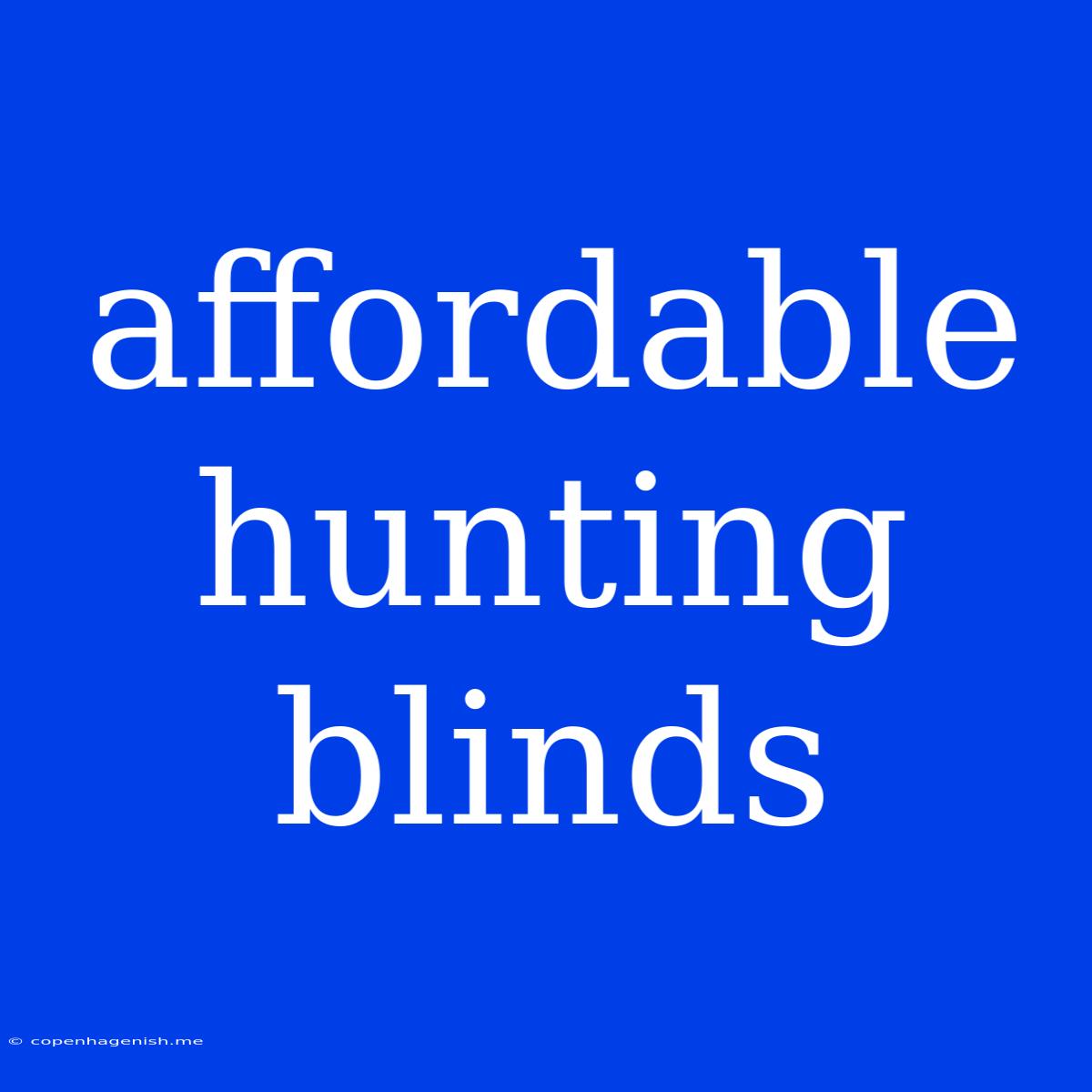 Affordable Hunting Blinds