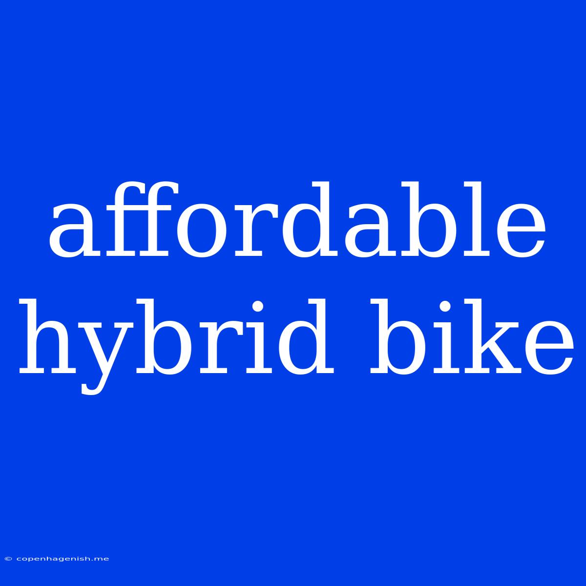 Affordable Hybrid Bike