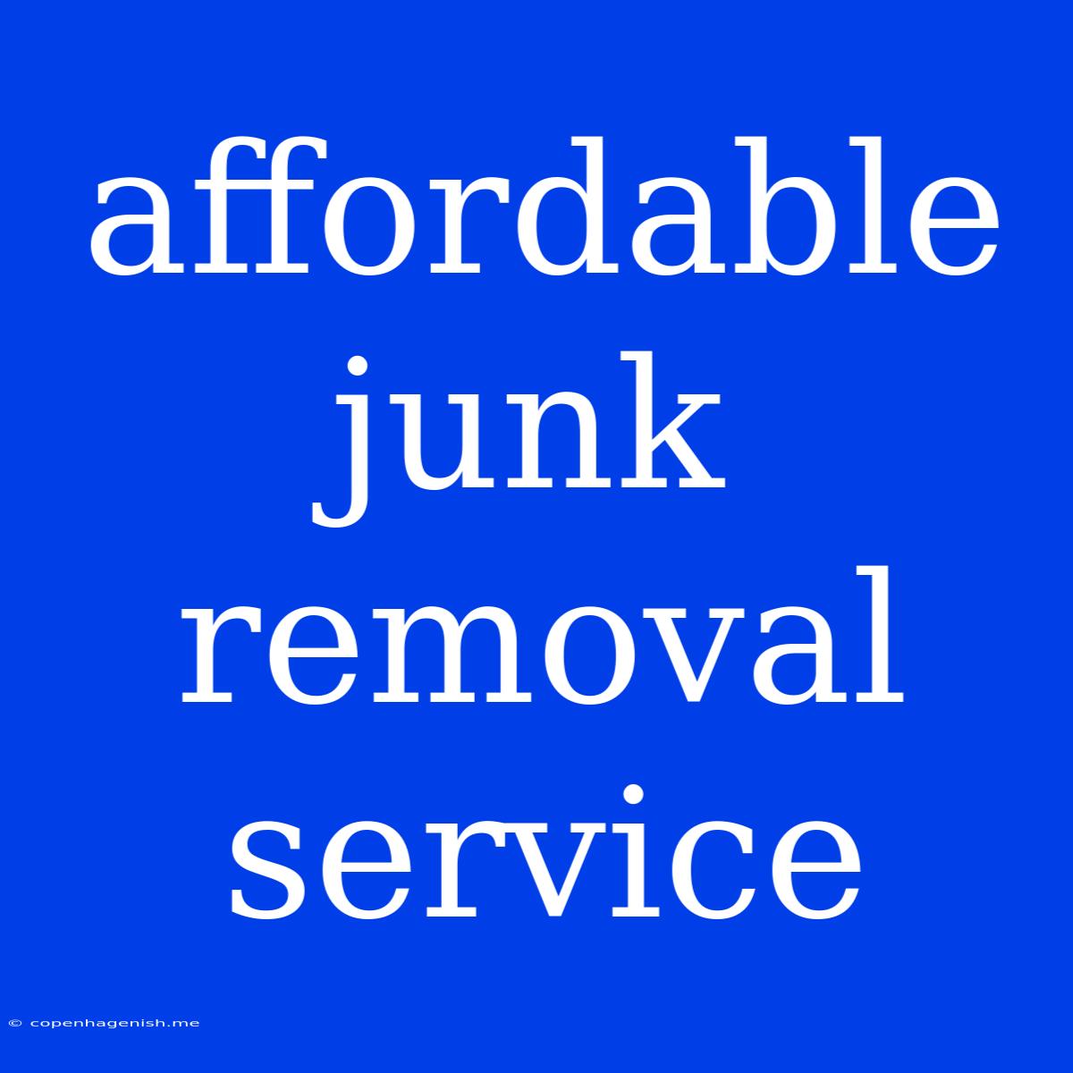 Affordable Junk Removal Service