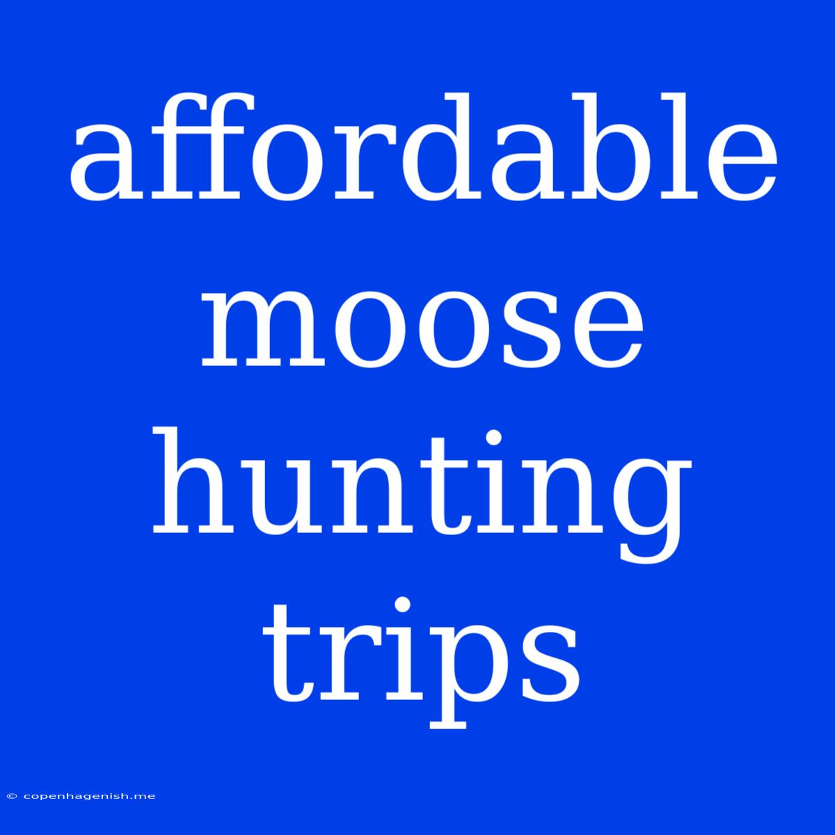 Affordable Moose Hunting Trips