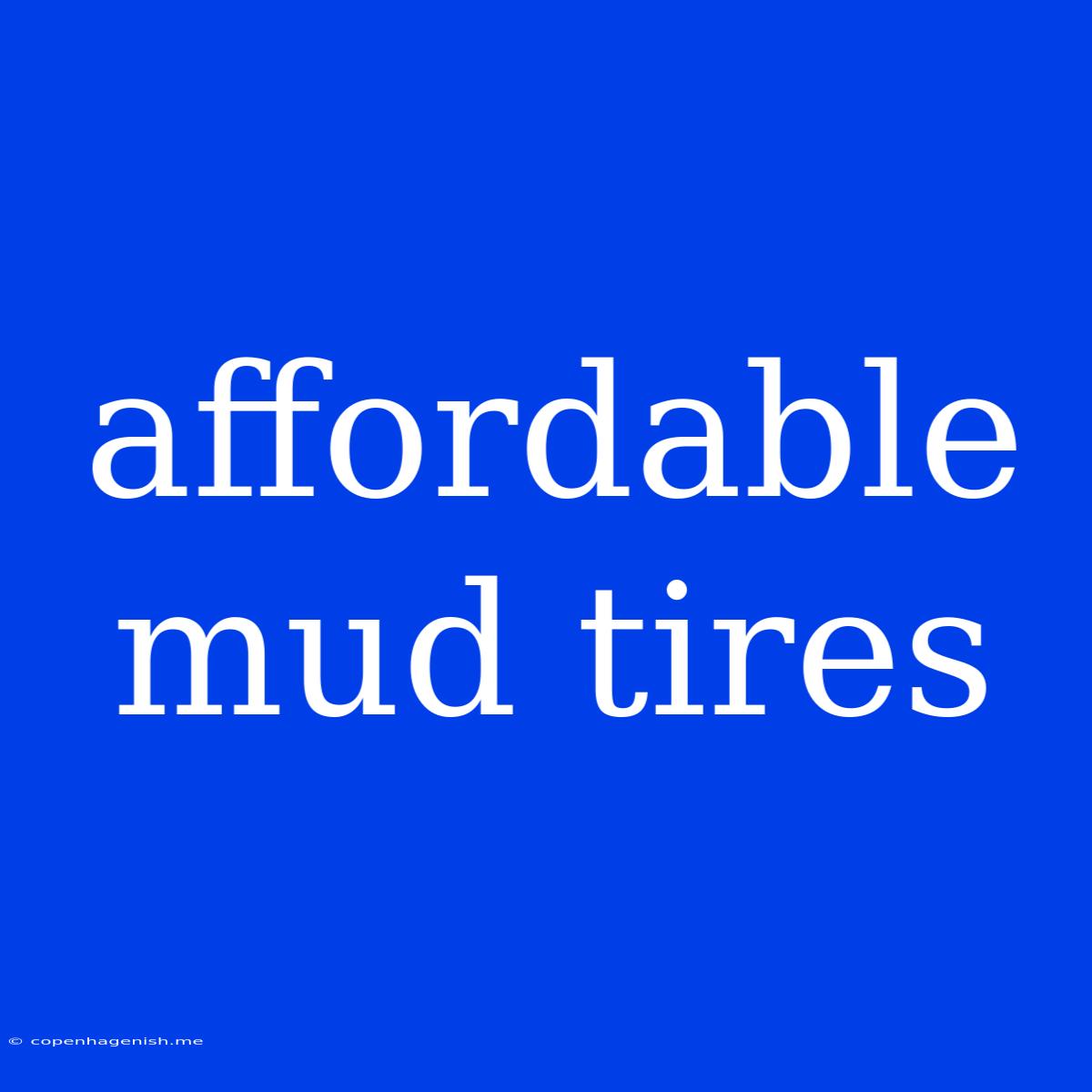 Affordable Mud Tires