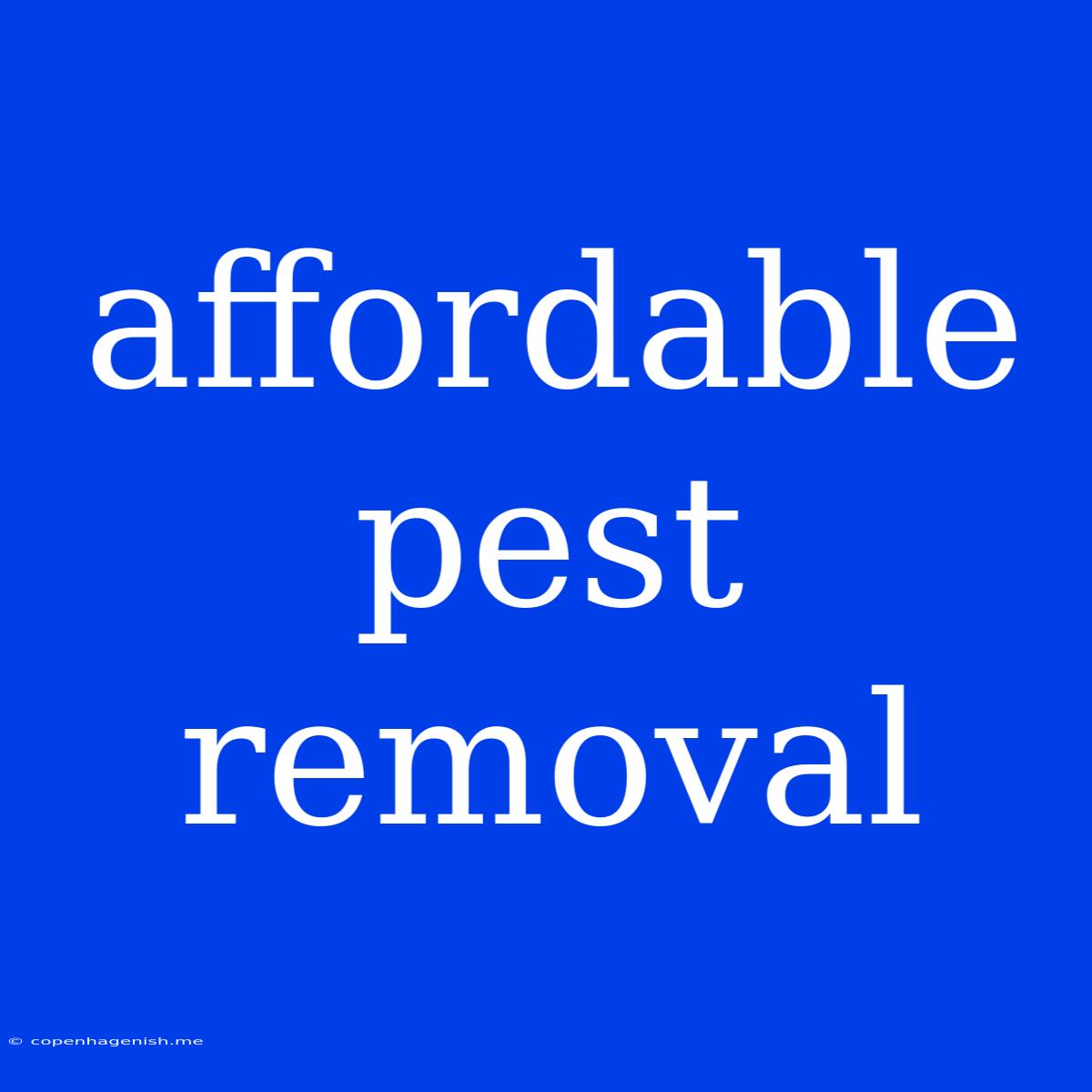 Affordable Pest Removal