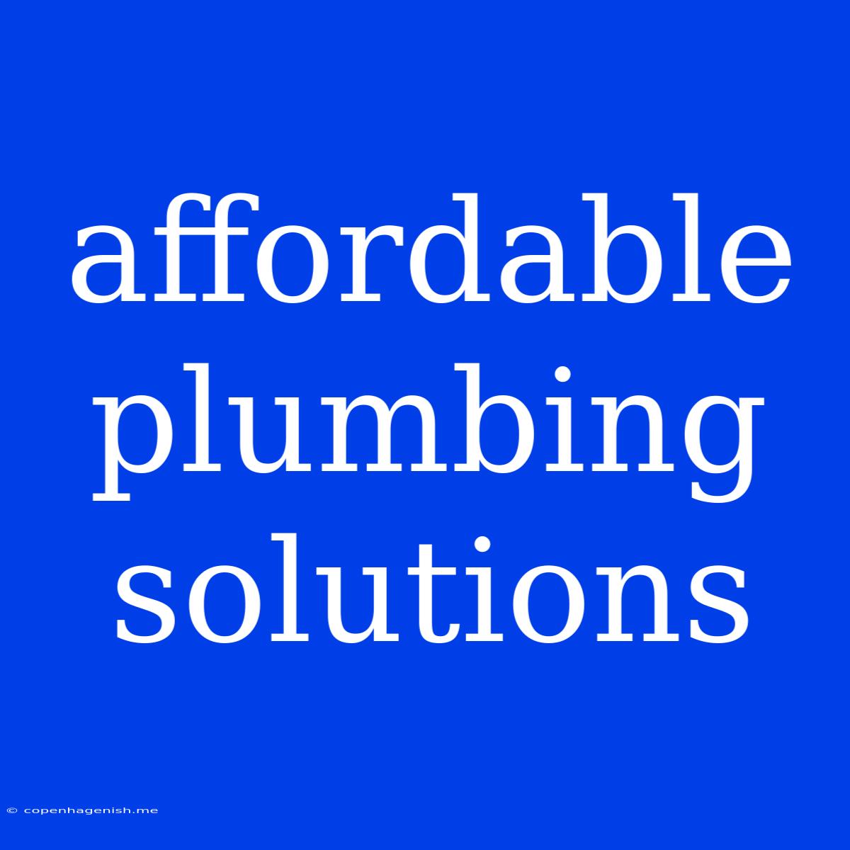 Affordable Plumbing Solutions