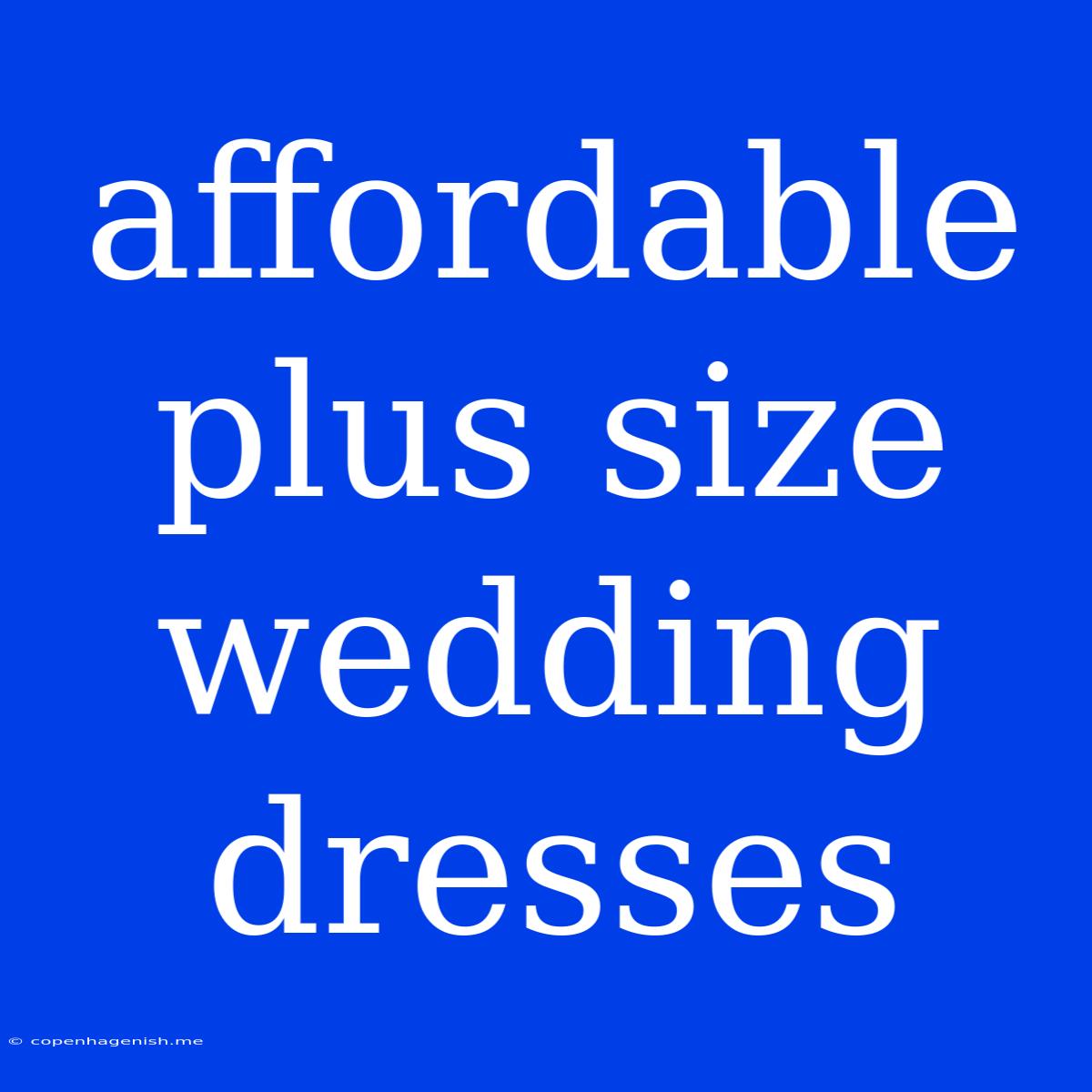 Affordable Plus Size Wedding Dresses