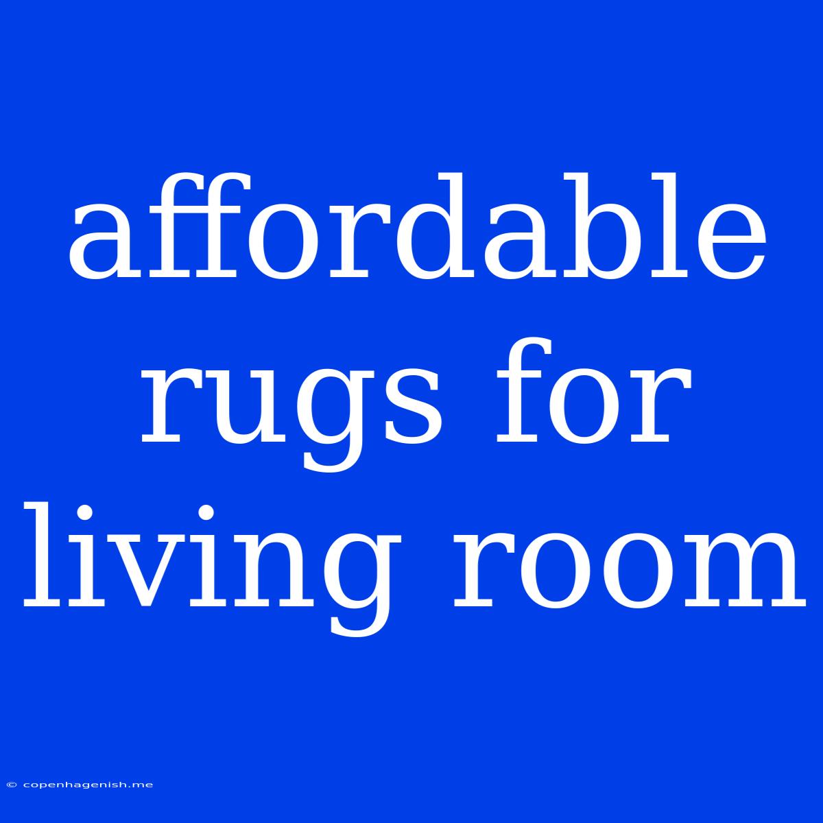 Affordable Rugs For Living Room