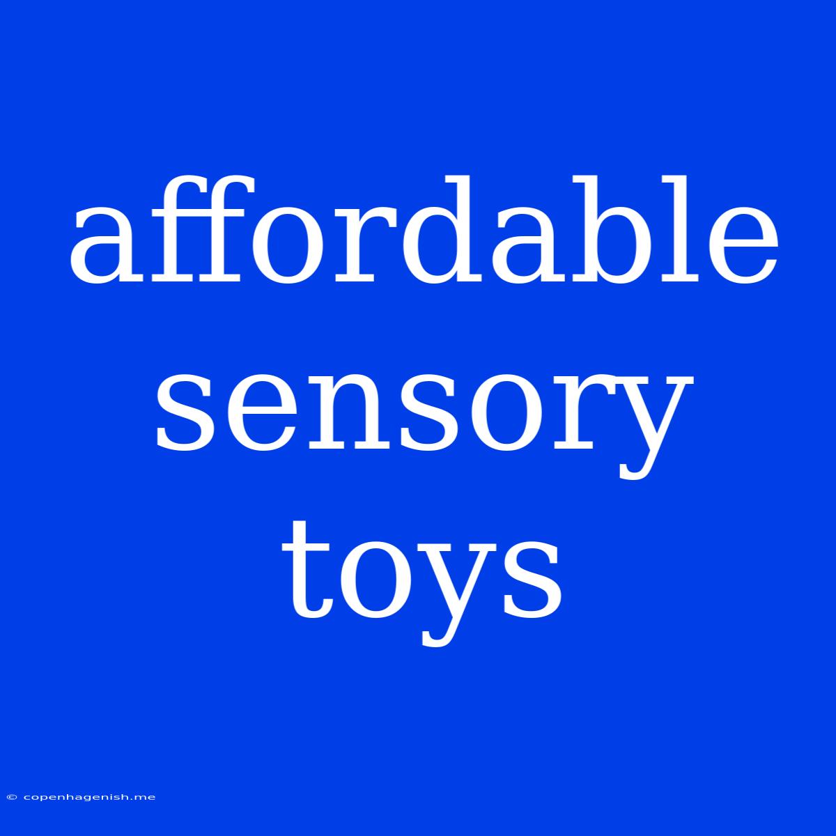 Affordable Sensory Toys