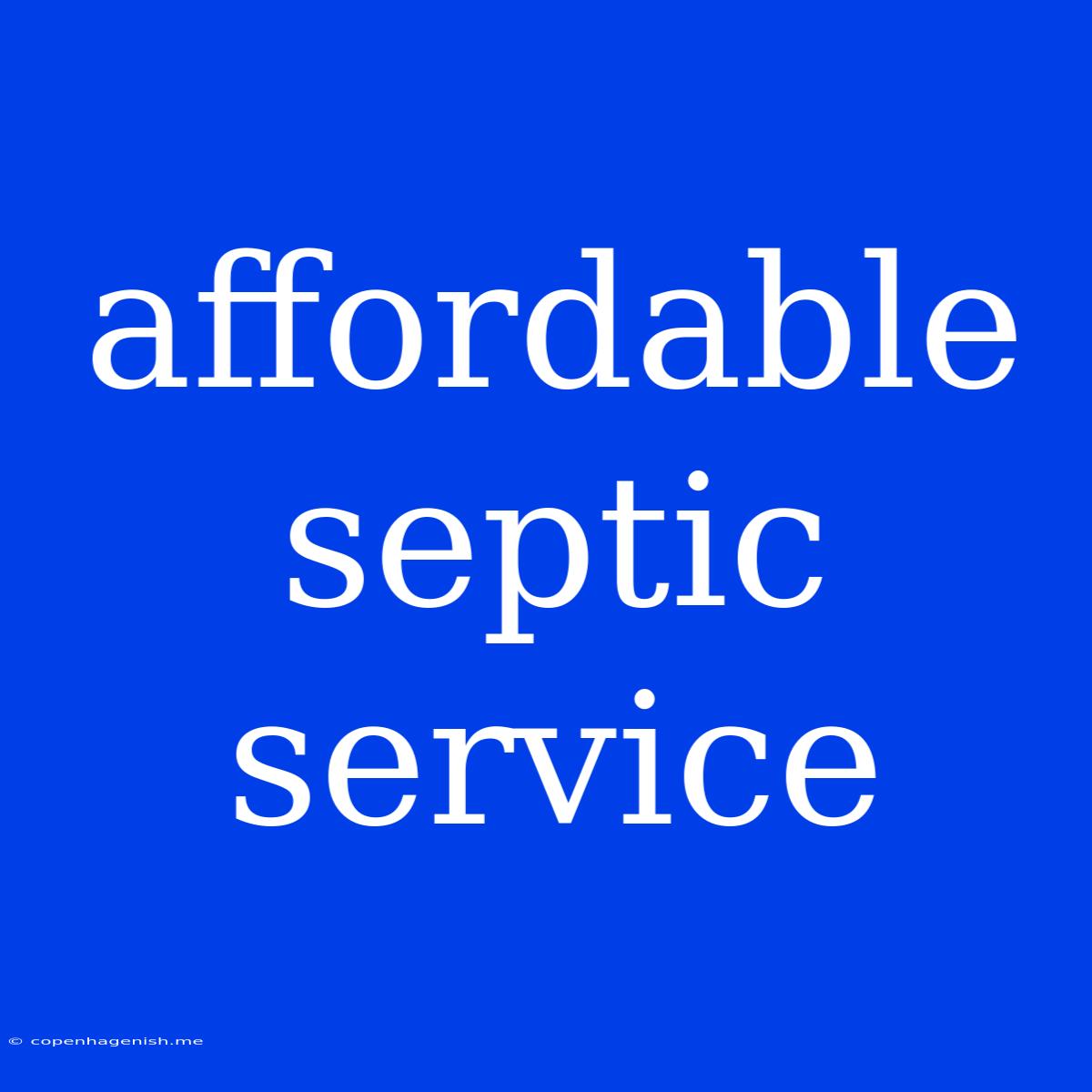 Affordable Septic Service