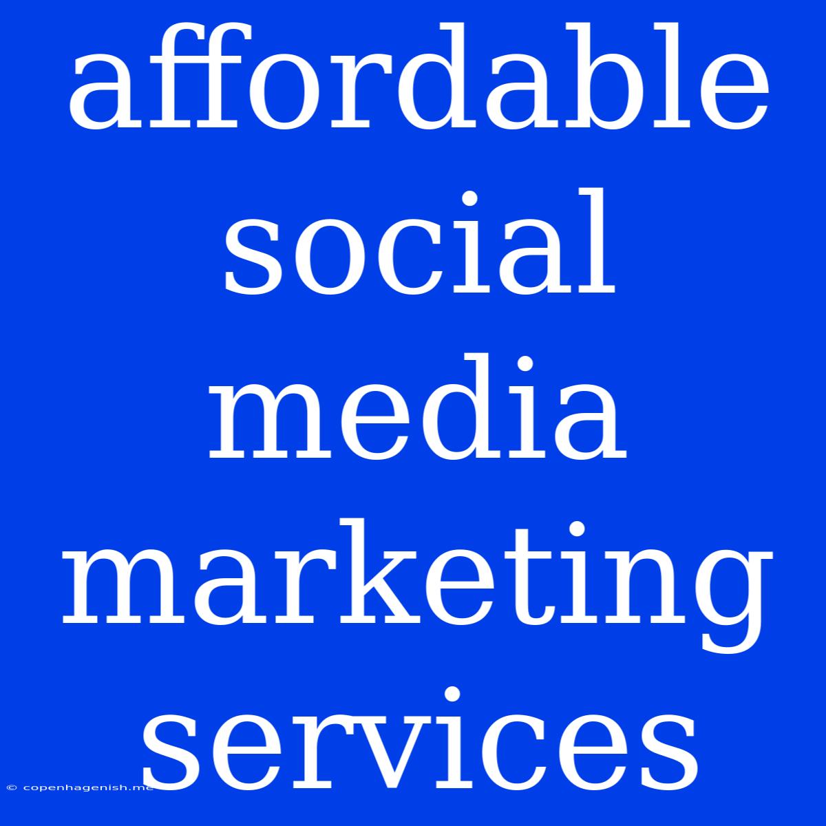 Affordable Social Media Marketing Services