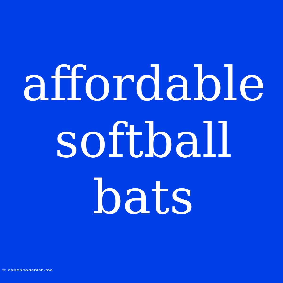 Affordable Softball Bats