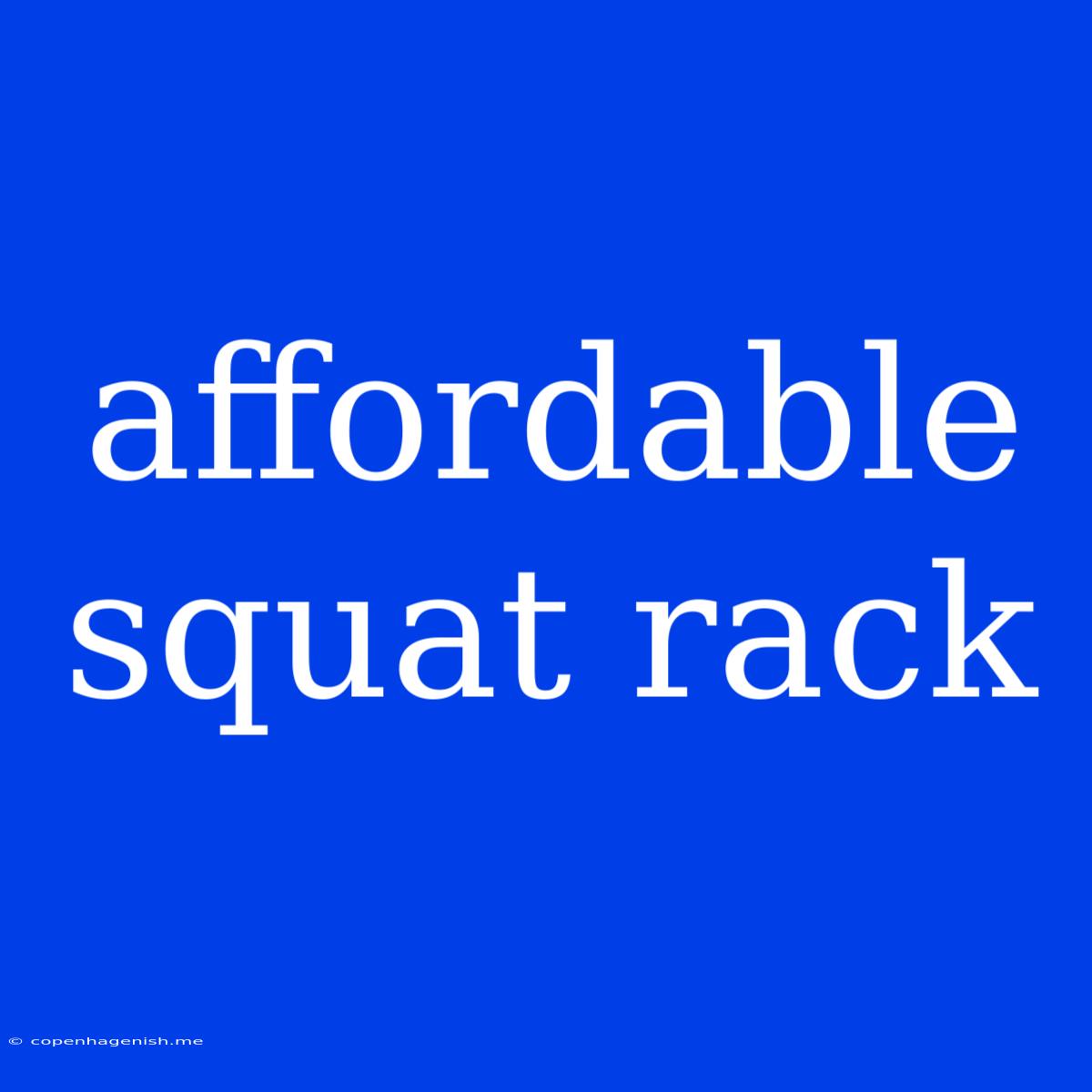 Affordable Squat Rack