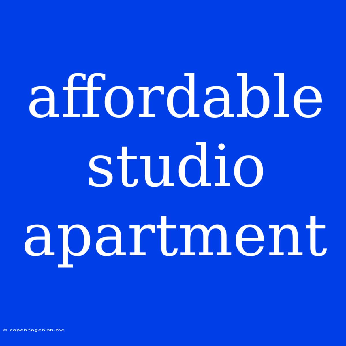 Affordable Studio Apartment