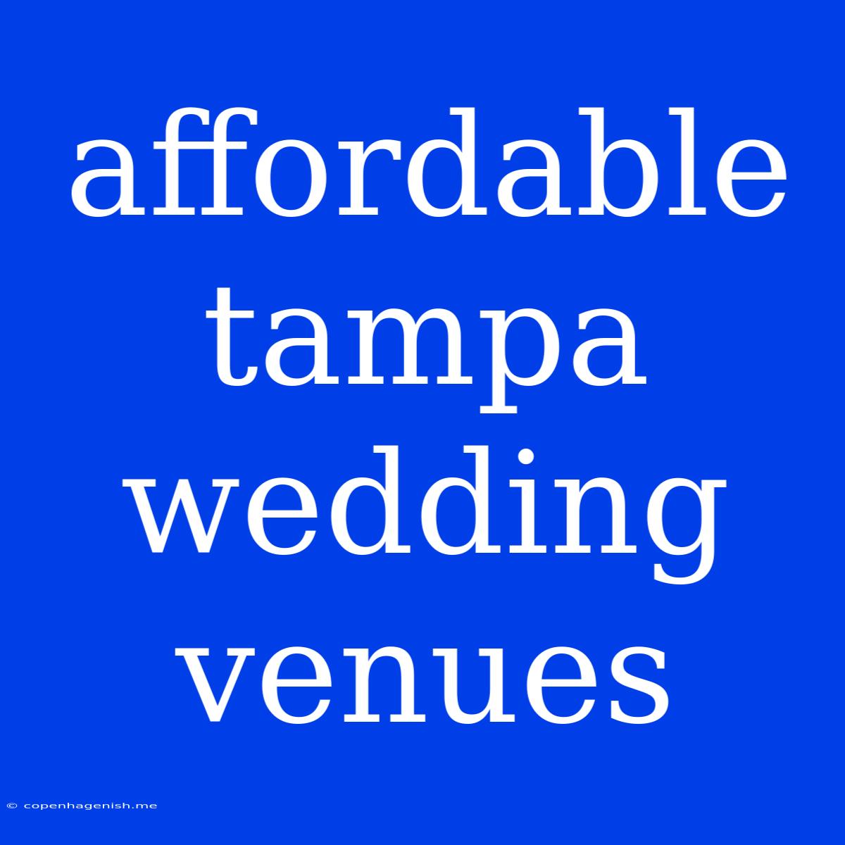 Affordable Tampa Wedding Venues