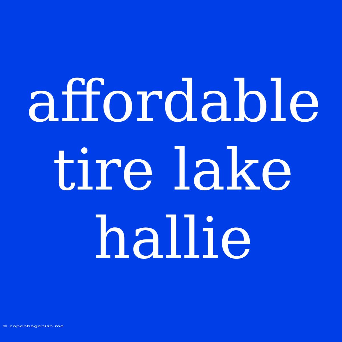 Affordable Tire Lake Hallie