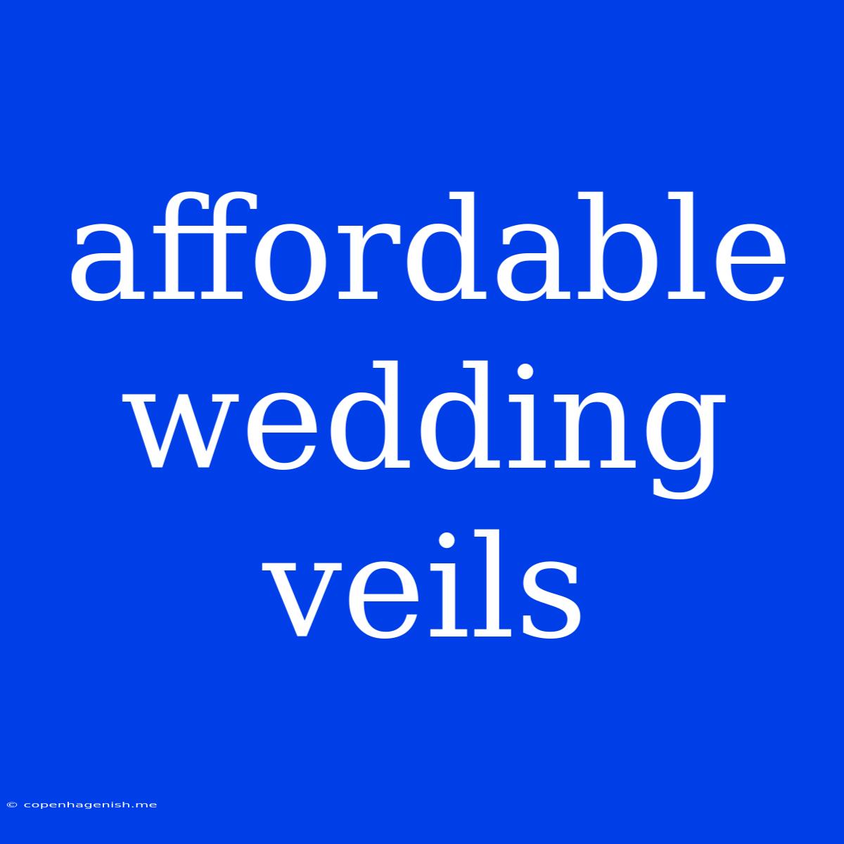 Affordable Wedding Veils