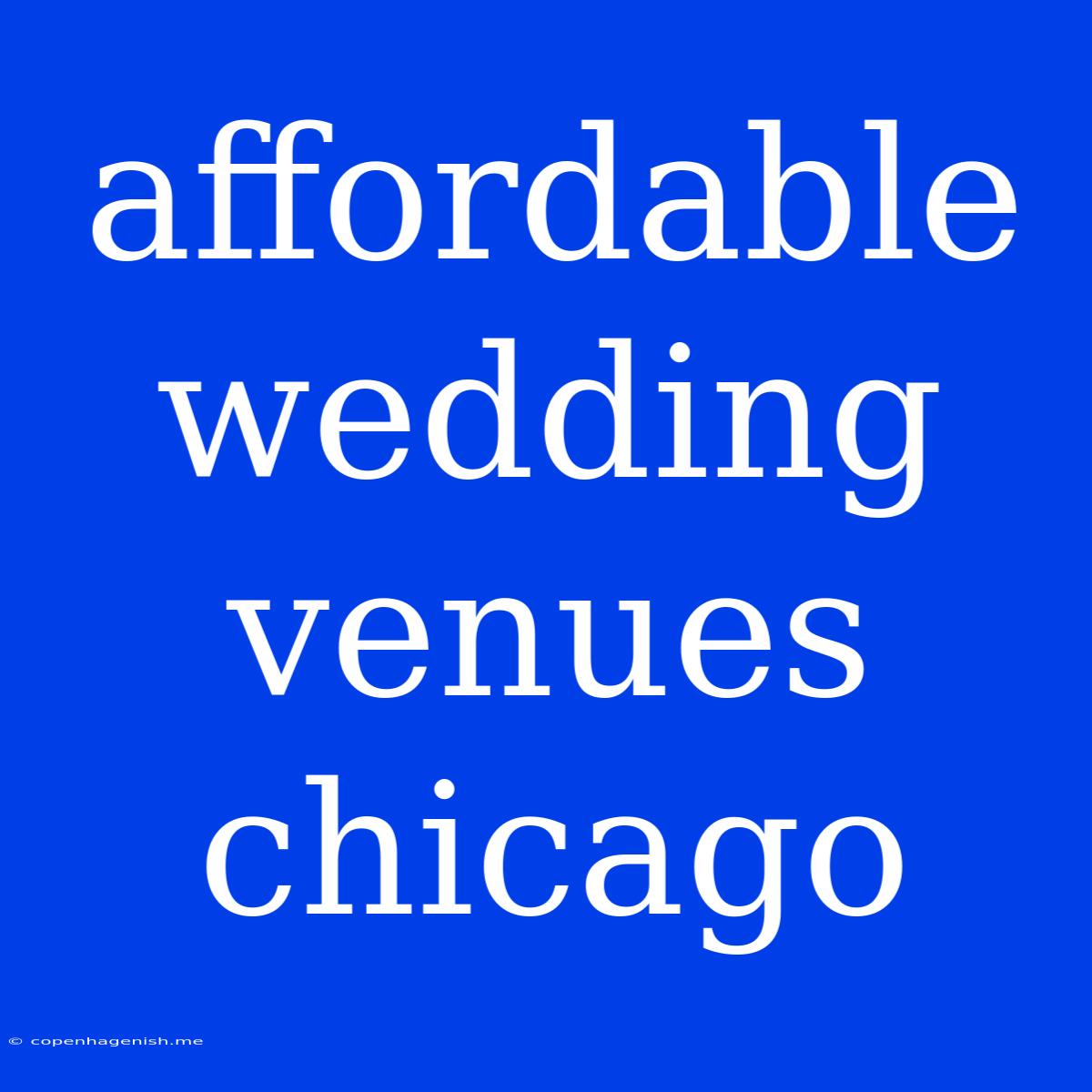 Affordable Wedding Venues Chicago