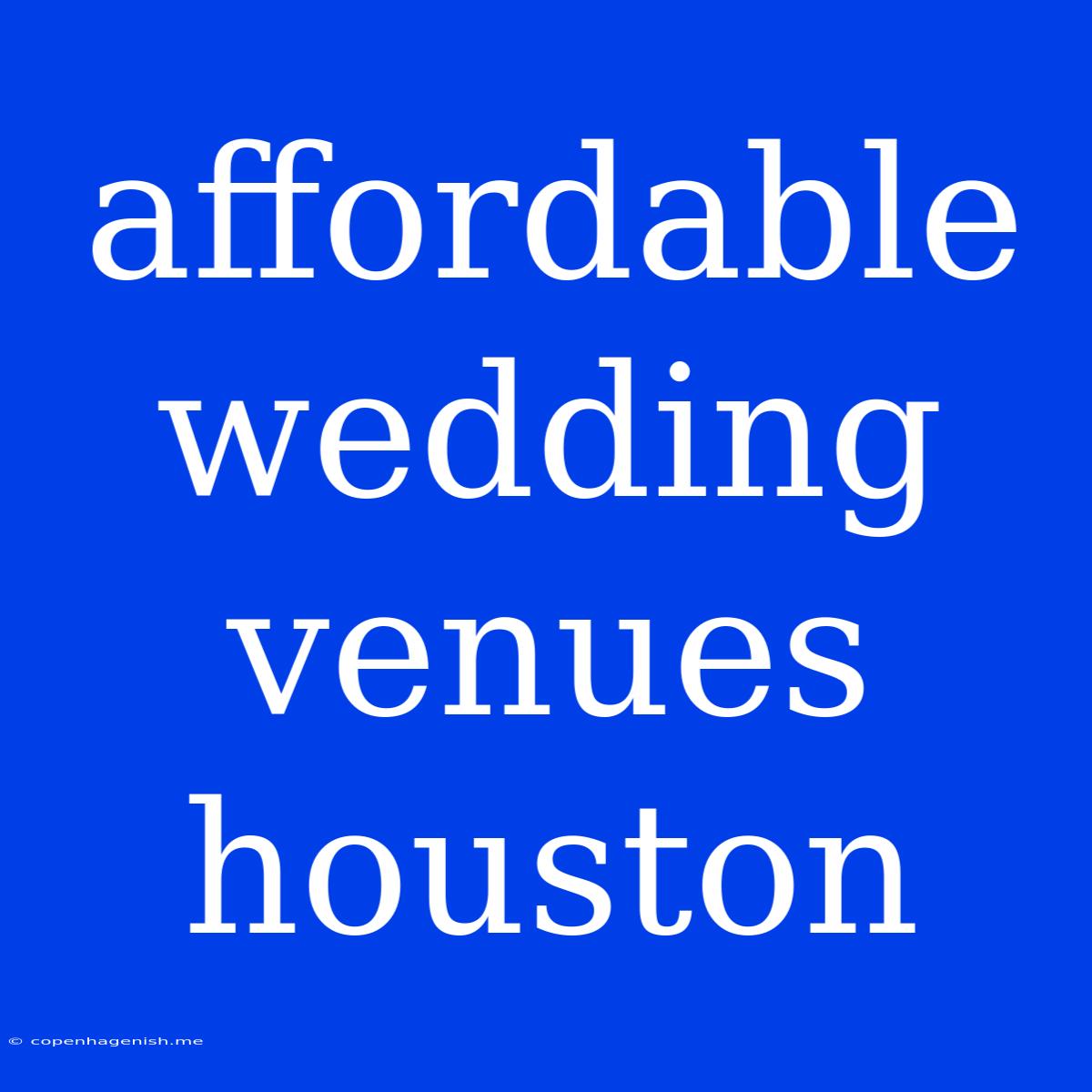 Affordable Wedding Venues Houston