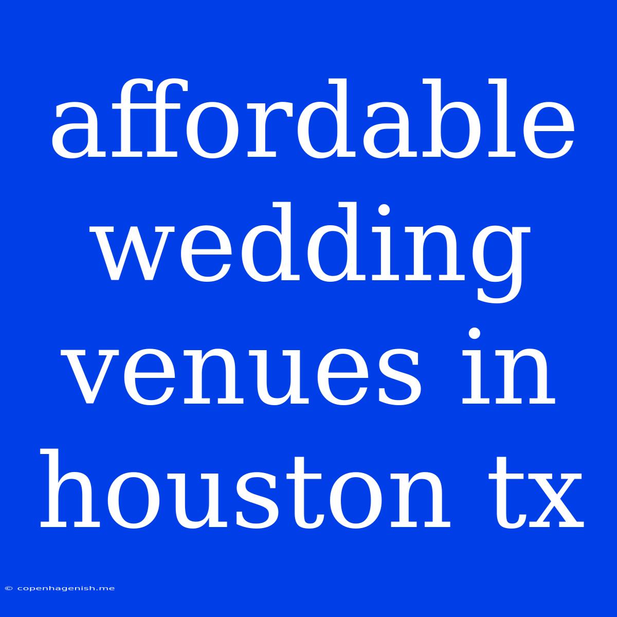 Affordable Wedding Venues In Houston Tx