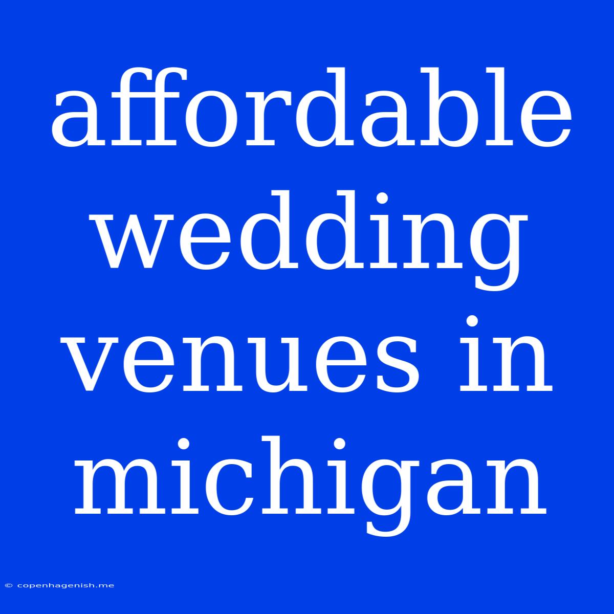 Affordable Wedding Venues In Michigan