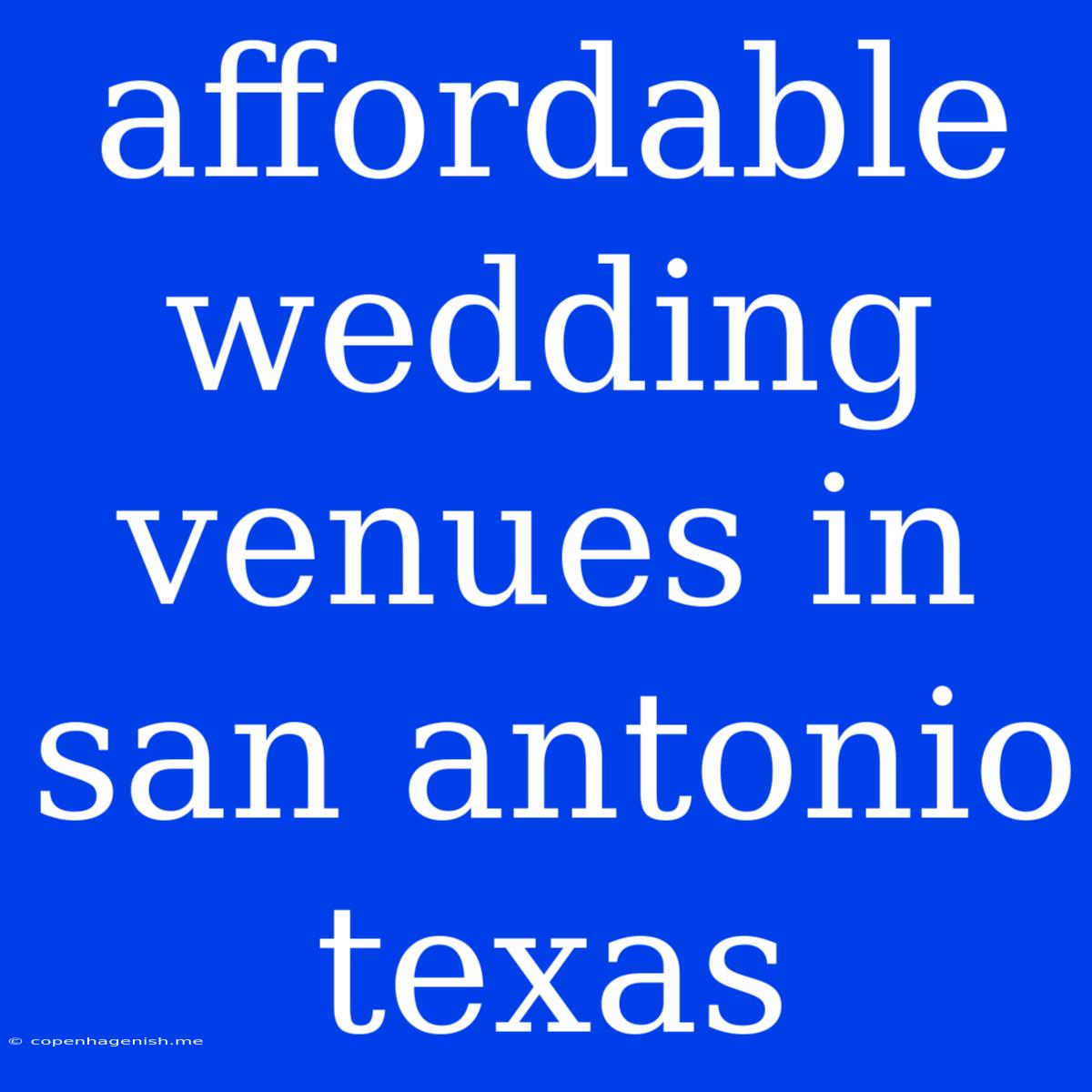 Affordable Wedding Venues In San Antonio Texas