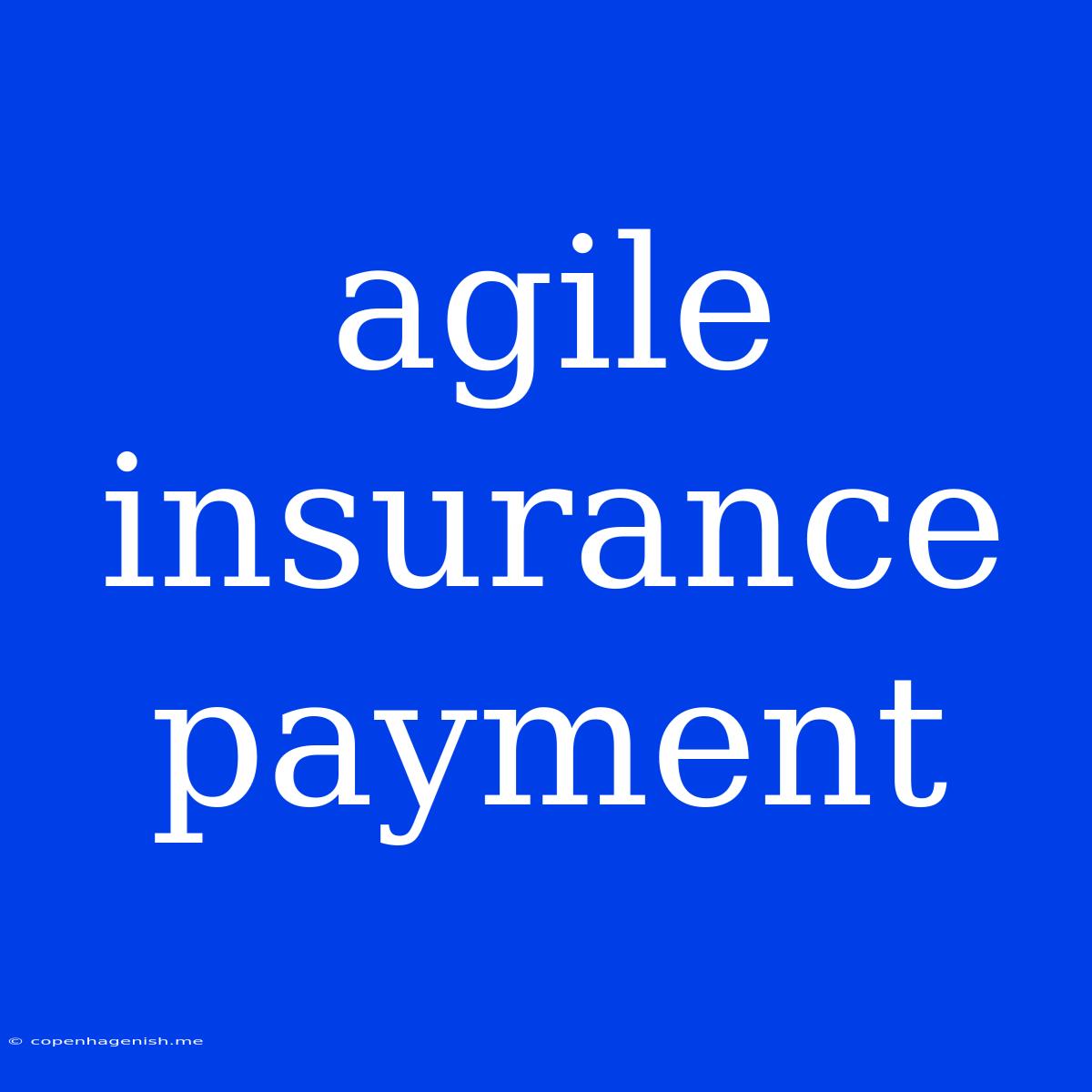 Agile Insurance Payment