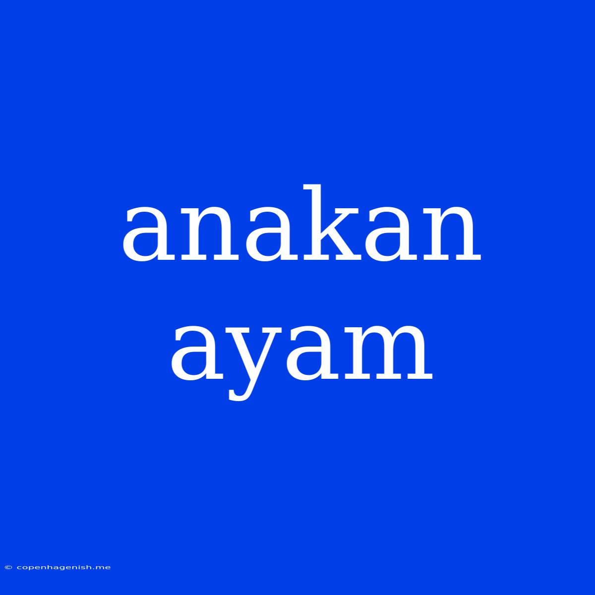 Anakan Ayam