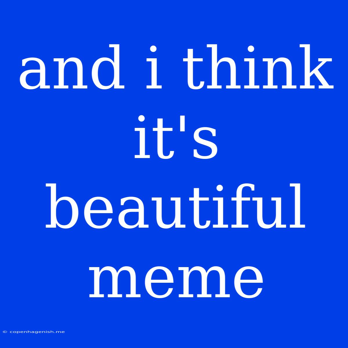 And I Think It's Beautiful Meme