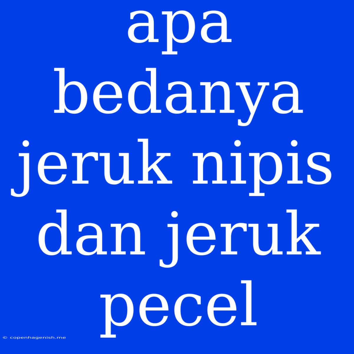 Apa Bedanya Jeruk Nipis Dan Jeruk Pecel